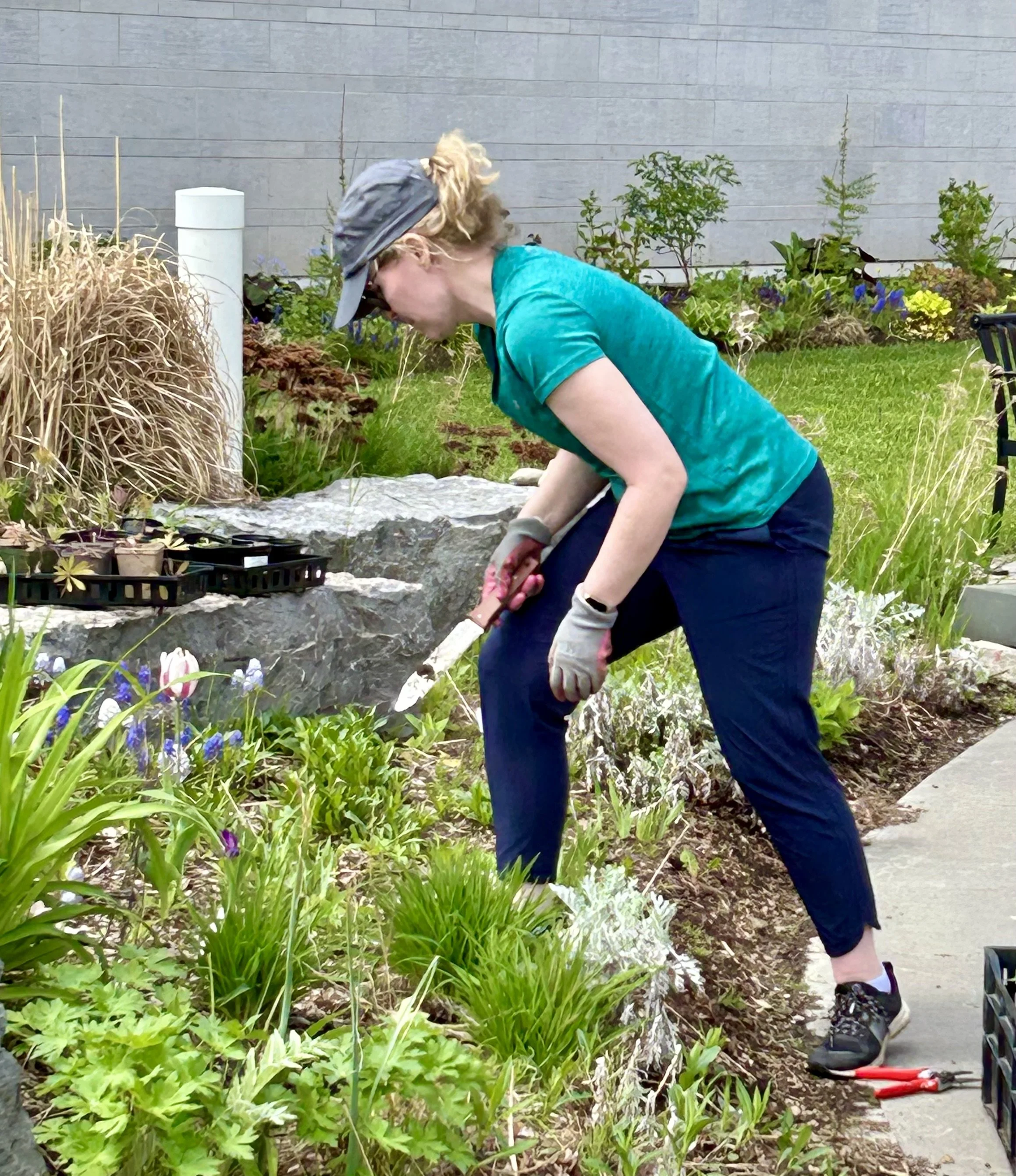 Photograph of one of our members working in the Healing Gardens