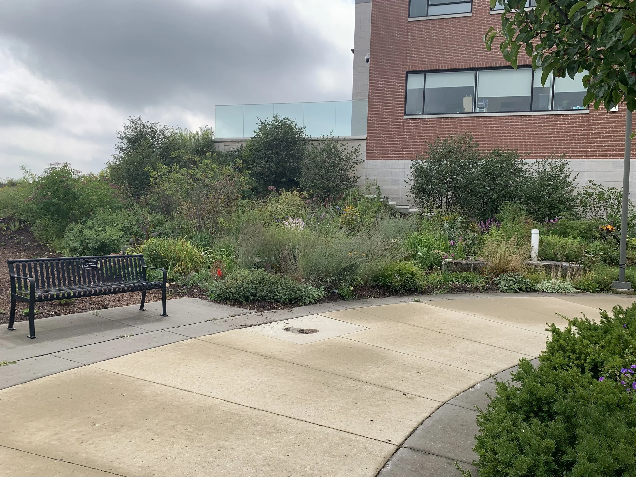 Photo of gardens and a concrete path
