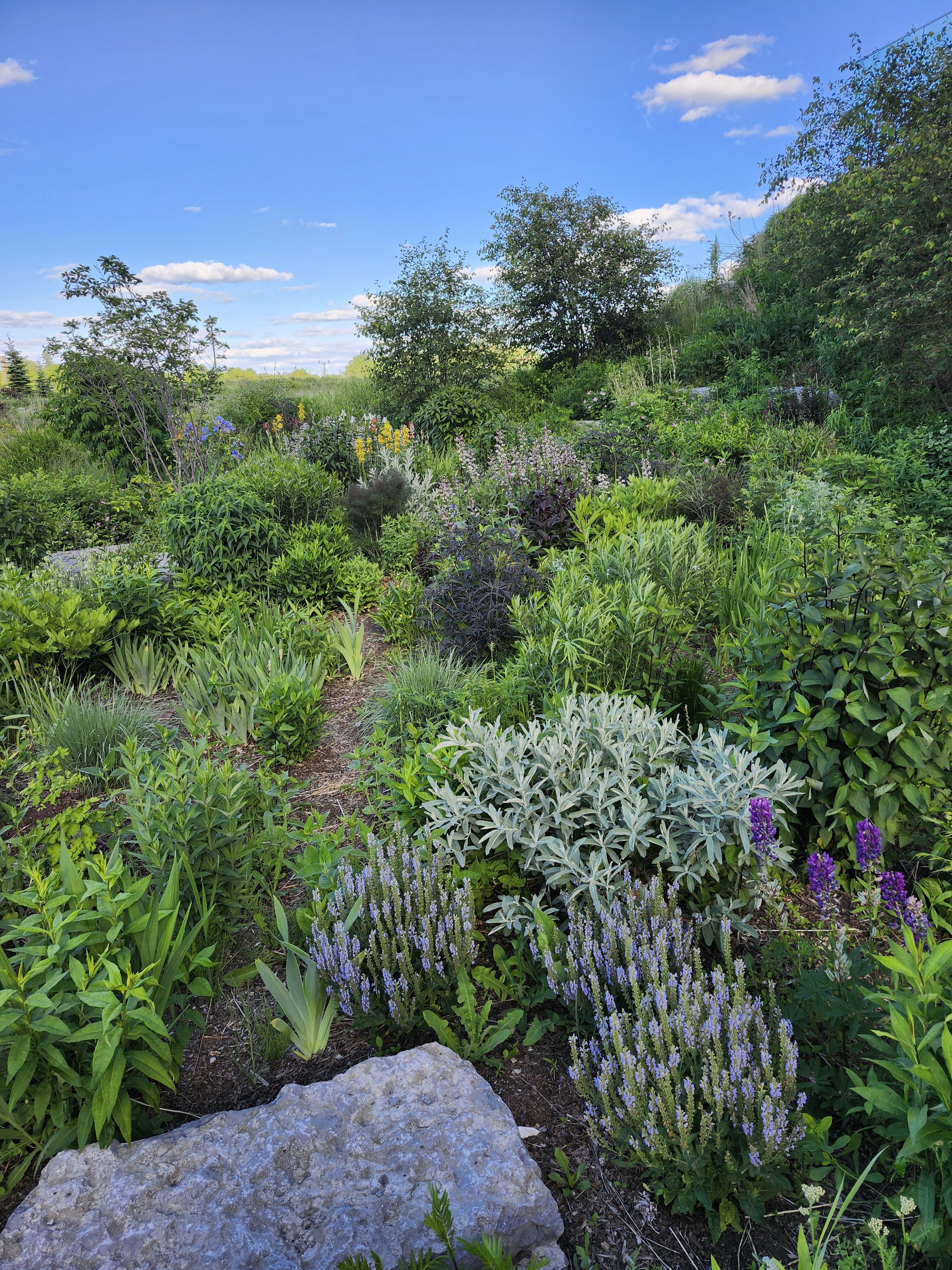 Part of the Healing Gardens