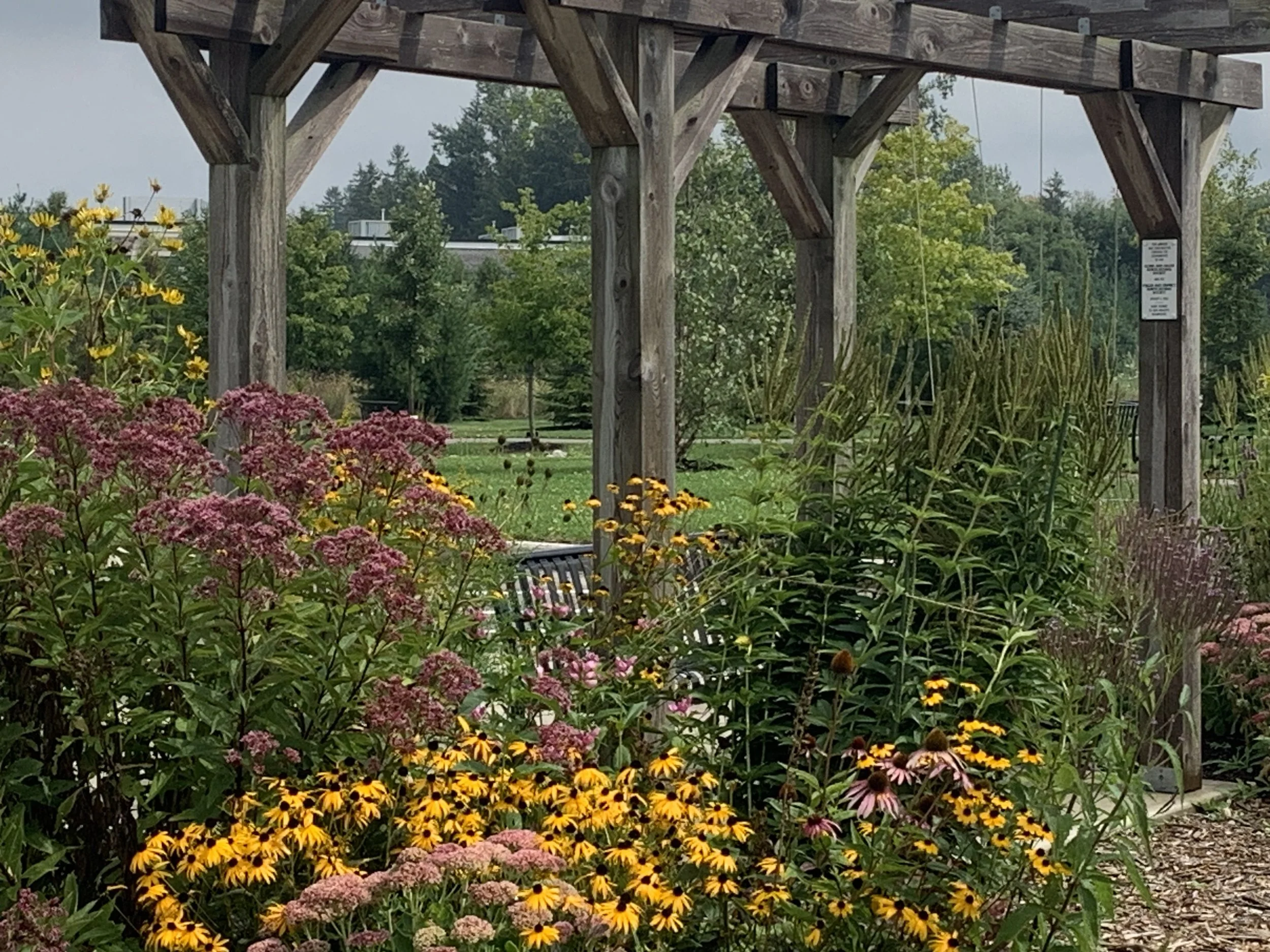 Photo of gardens in front of an arbor