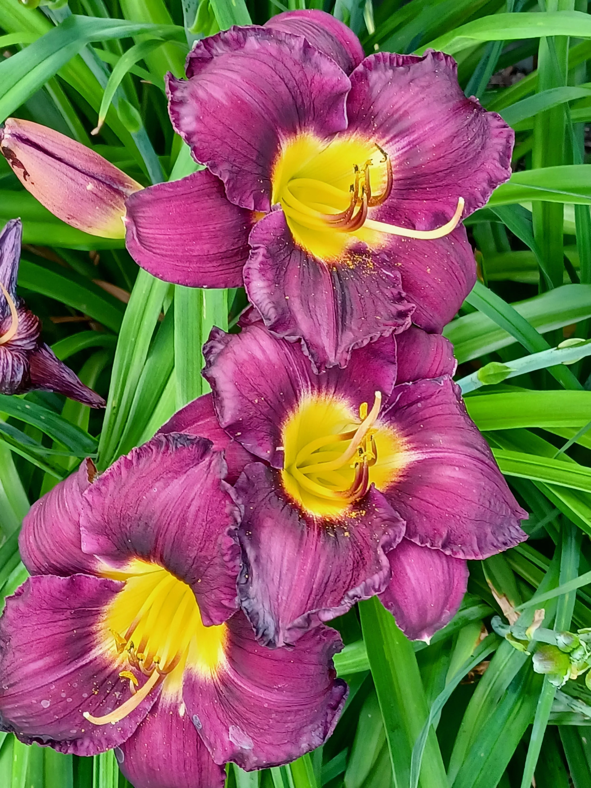 A picture from one of our members