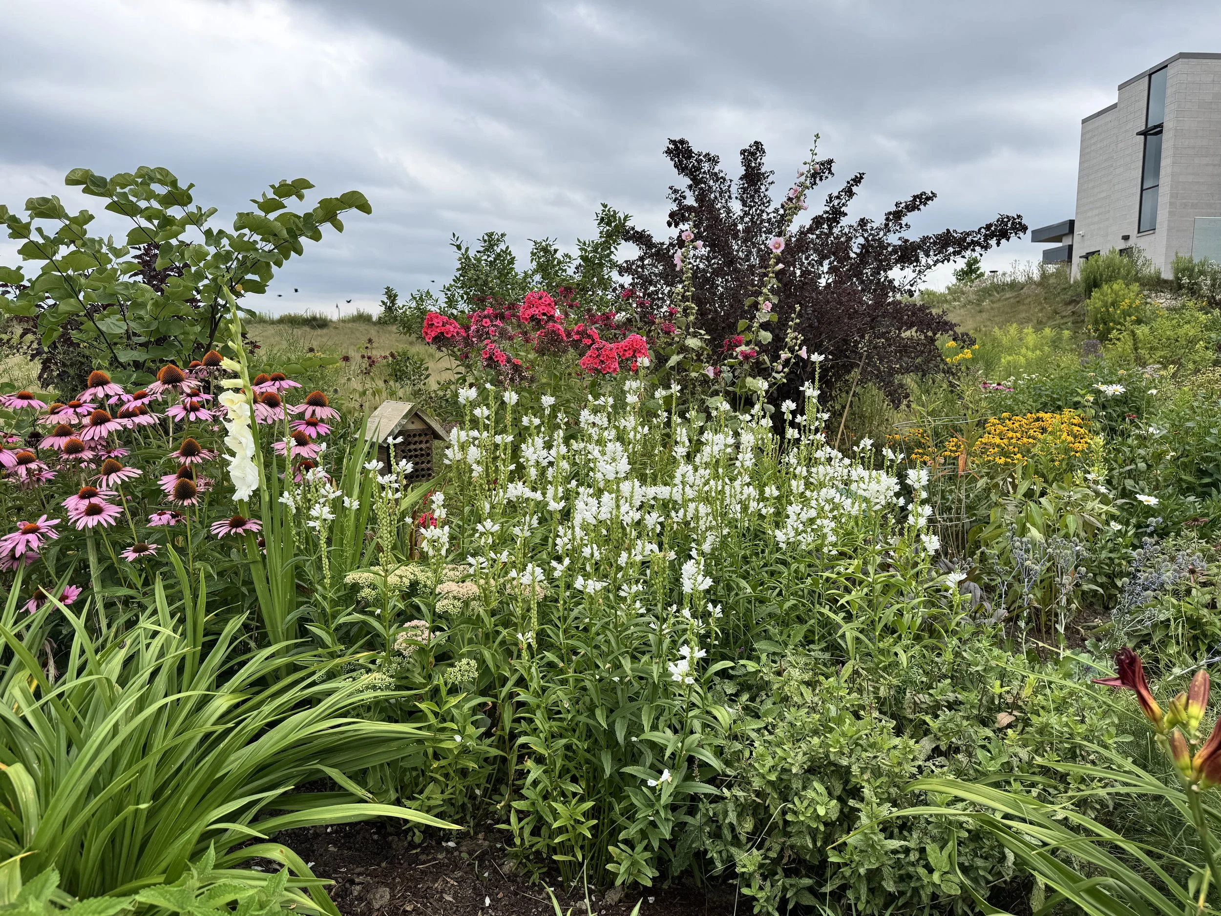 Photo of flowers