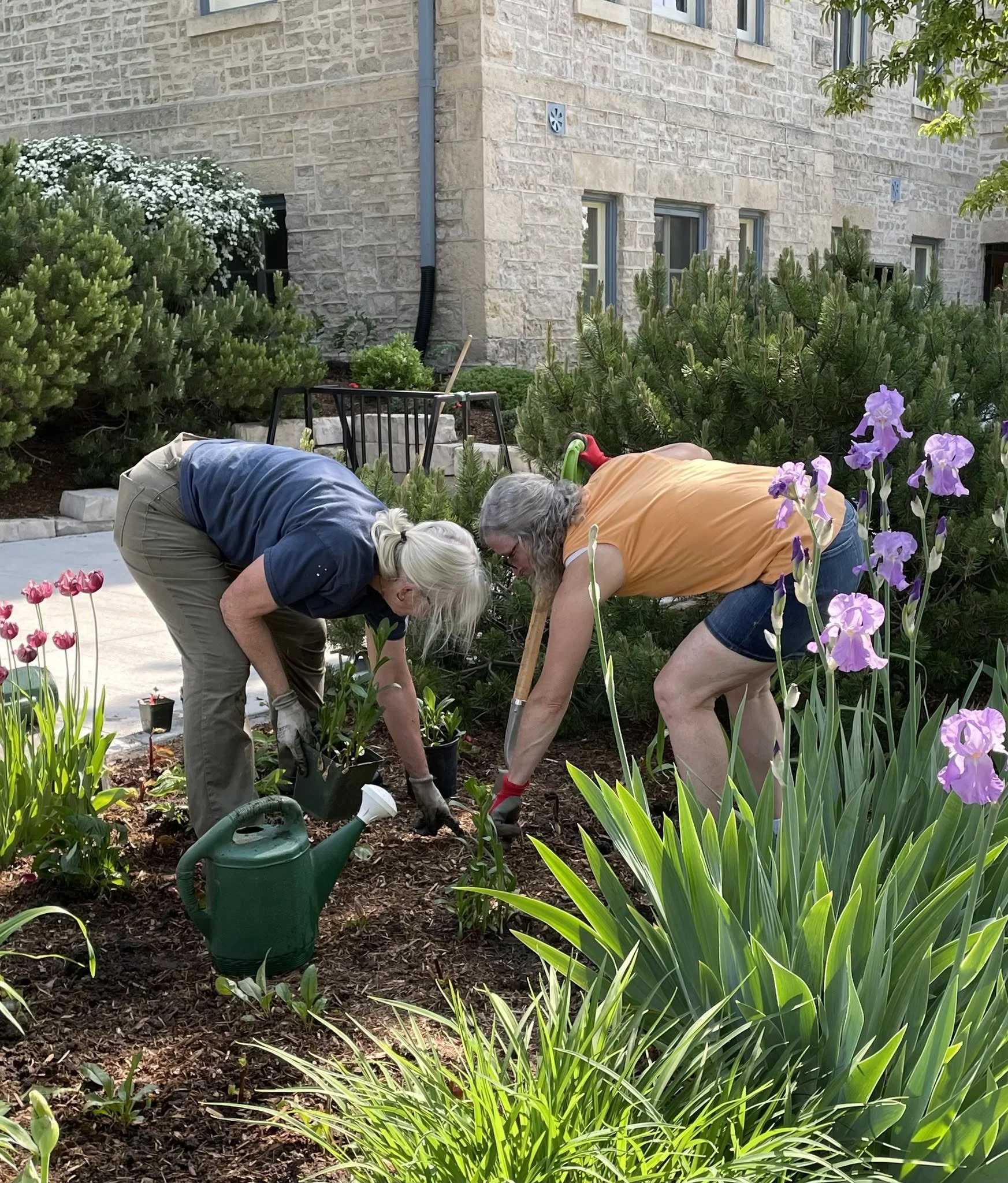 Members’ Plant Swap