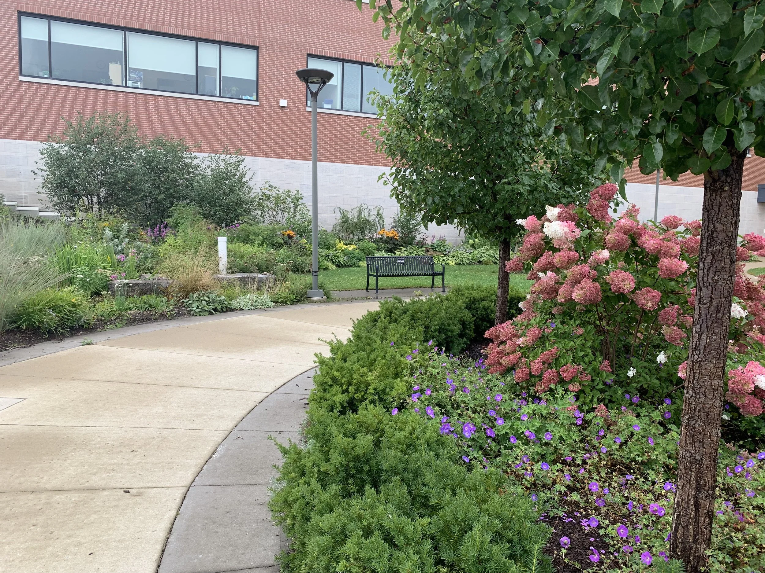 Photo of gardens and a concrete path