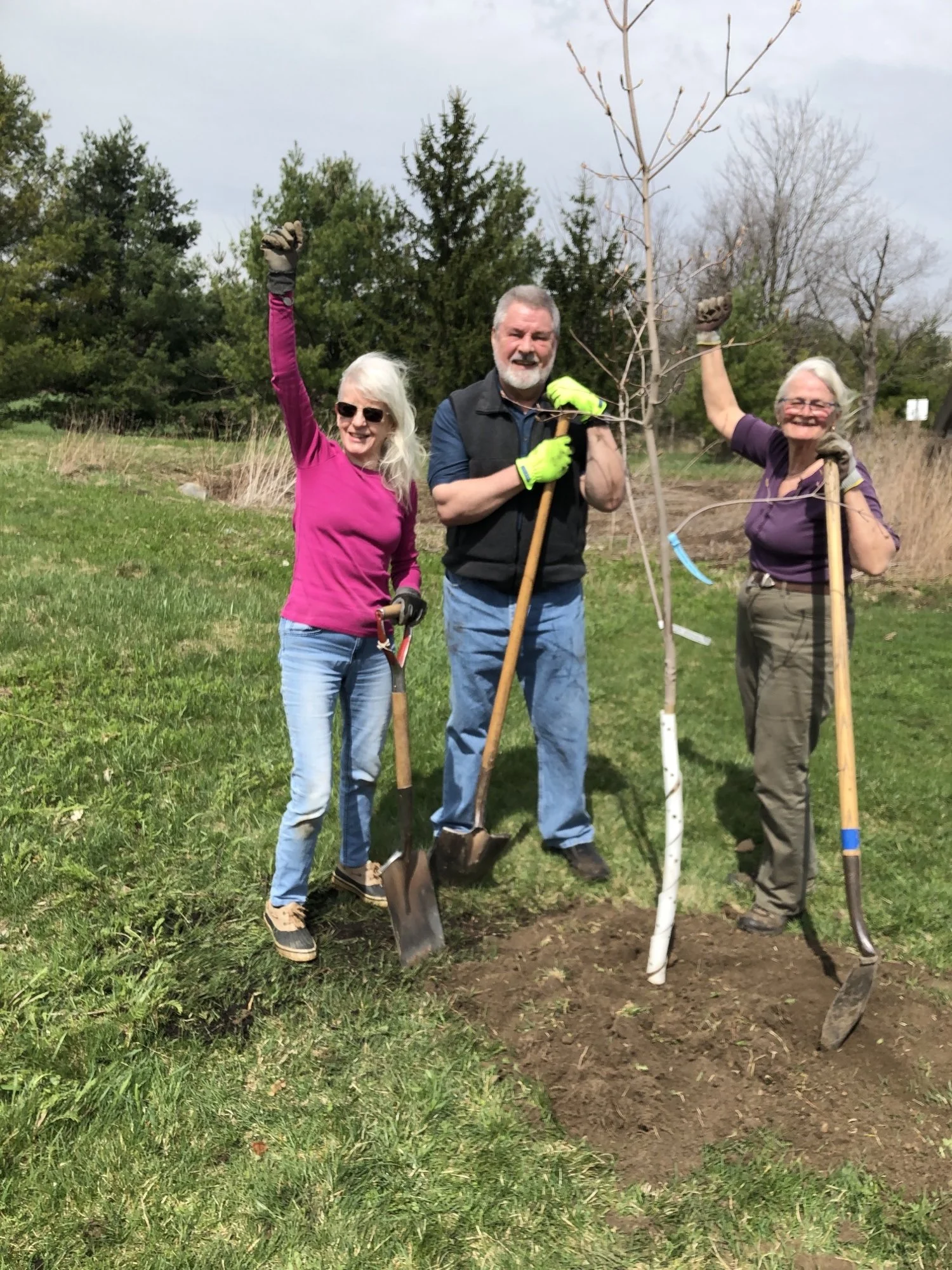 Three people planting a young tree in a grassy area outdoors, smiling and holding shovels, with trees in the background.