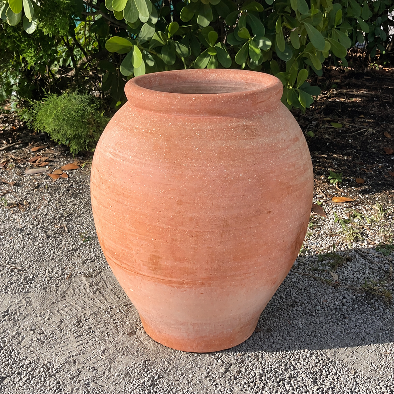 Sunlit Terracotta Urn in Lush Garden.png