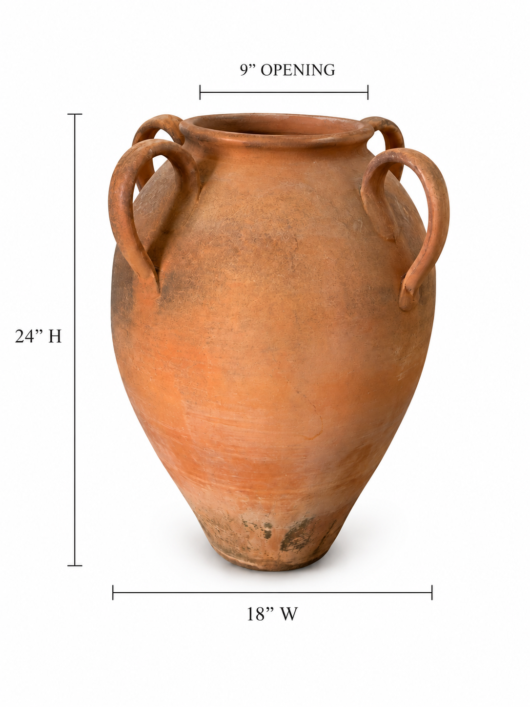 ChatGPT Image Sep 6, 2026, 02_18_21 PM.png