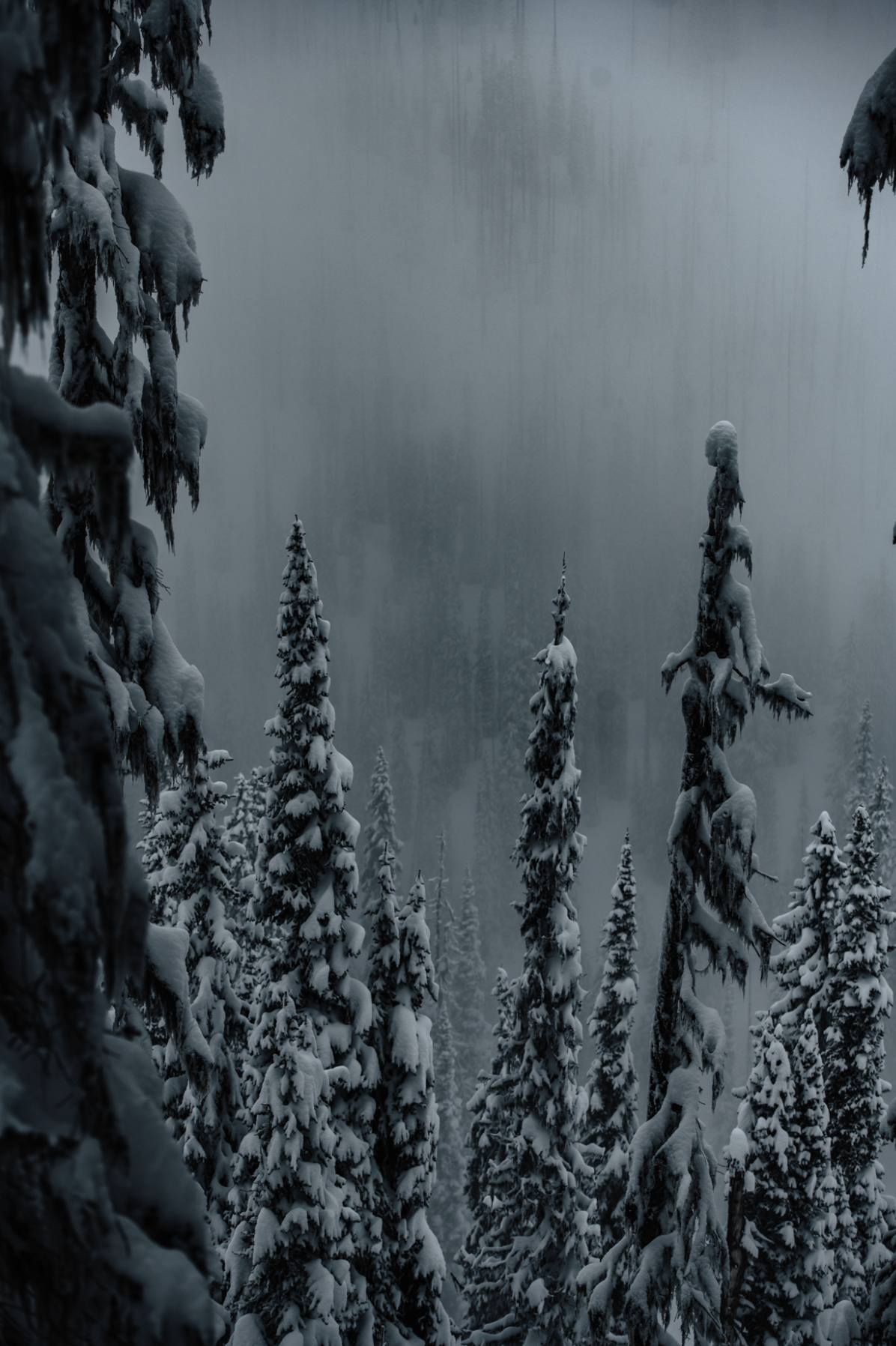 Screenshot 2026-07-19 at 5.49.43 PM.png