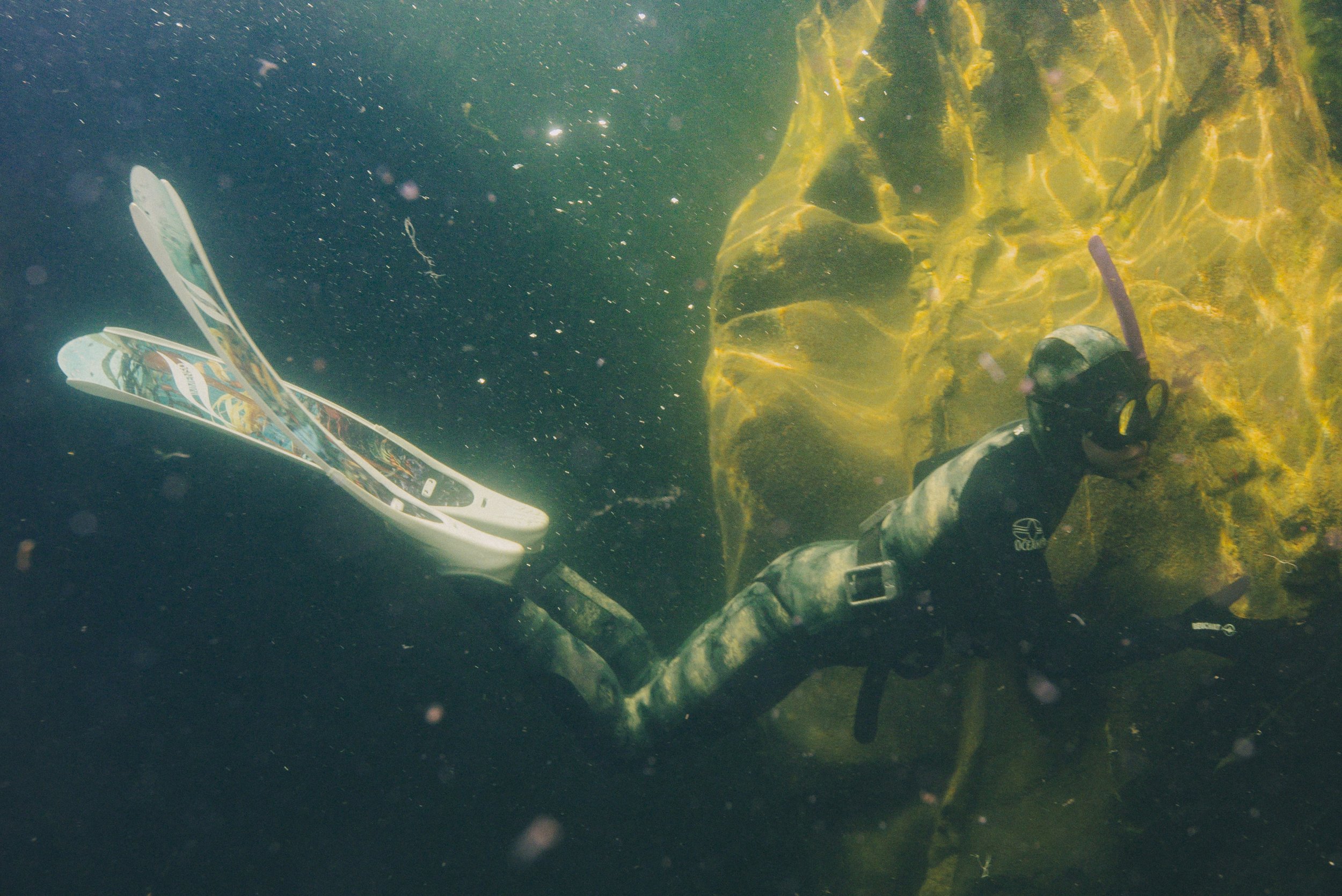 260516-17SookeFreedive-AgatheBernard-9053.jpg