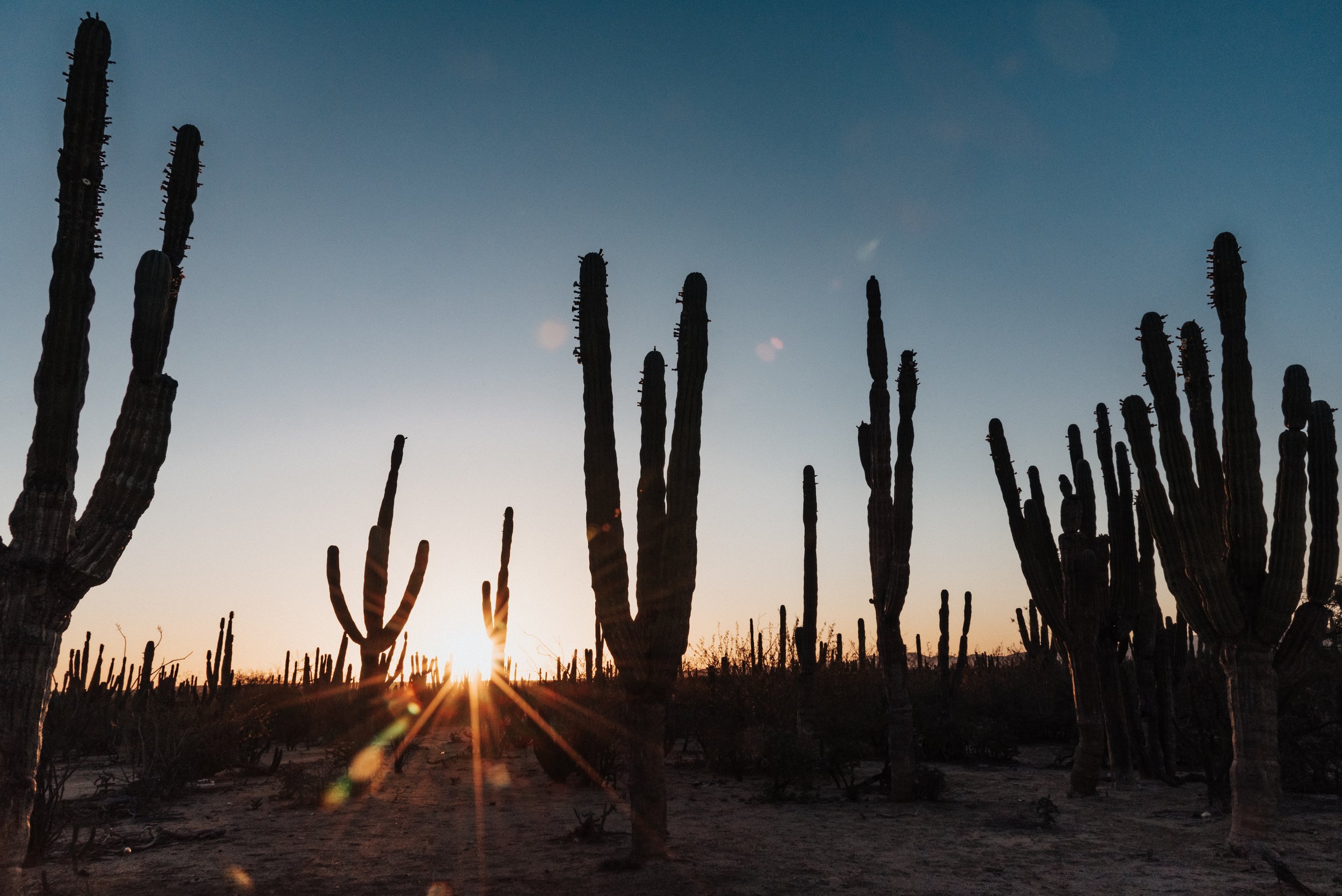 BajaSunrise.jpg