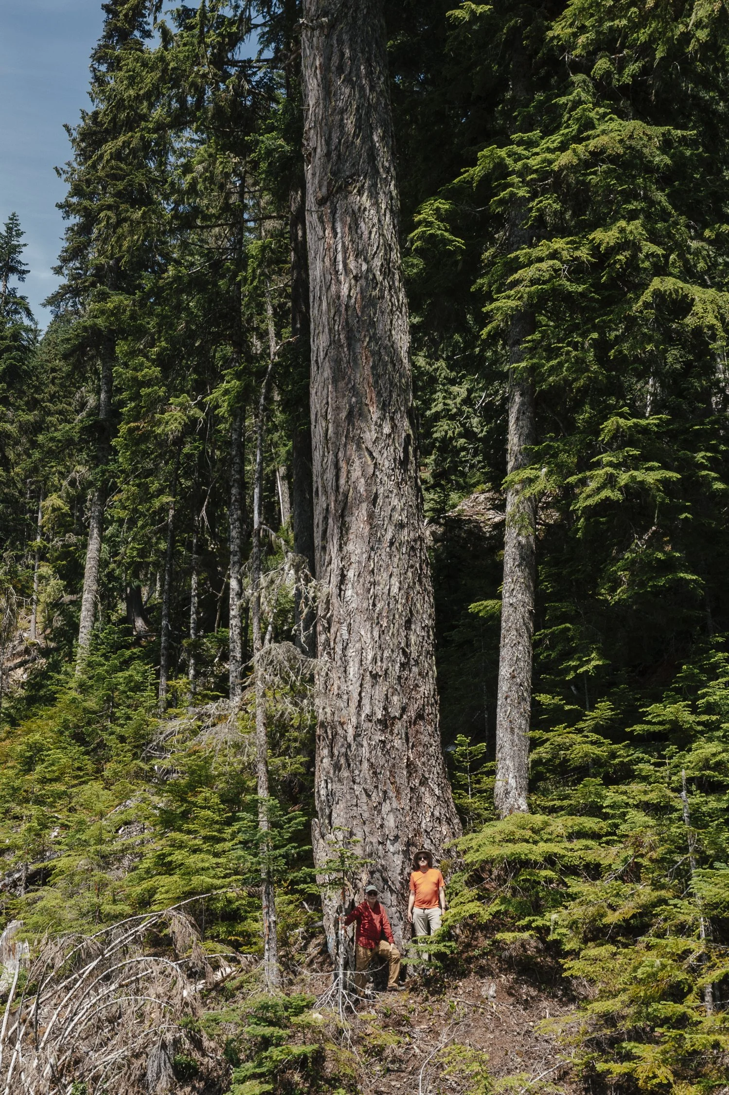 Bernard_Agathe_ENVIRO_250701_ Spotted Owl-0424.jpg