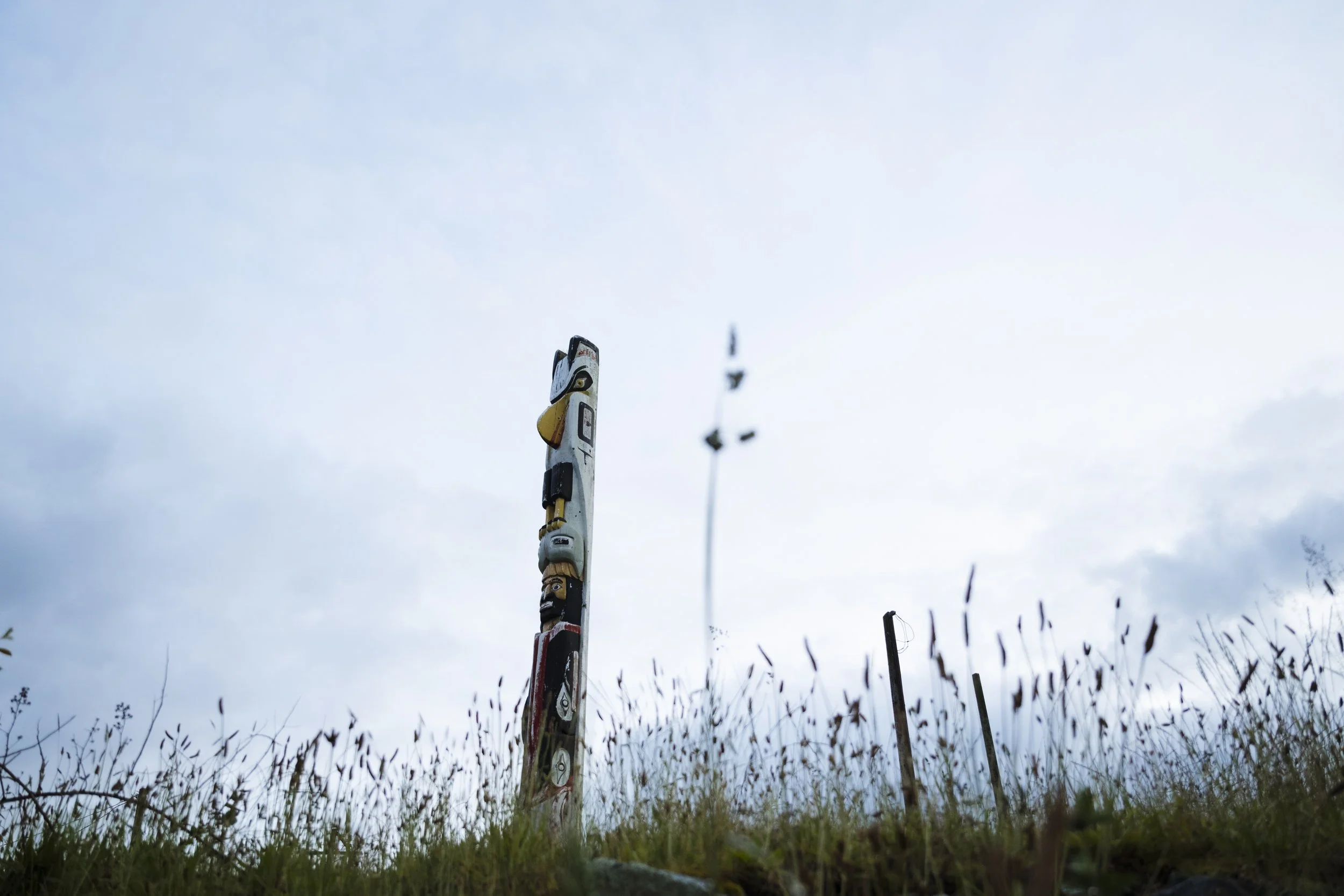 240614-17-AgatheBernard-FloresIsland-TrailBuilding-10.jpg