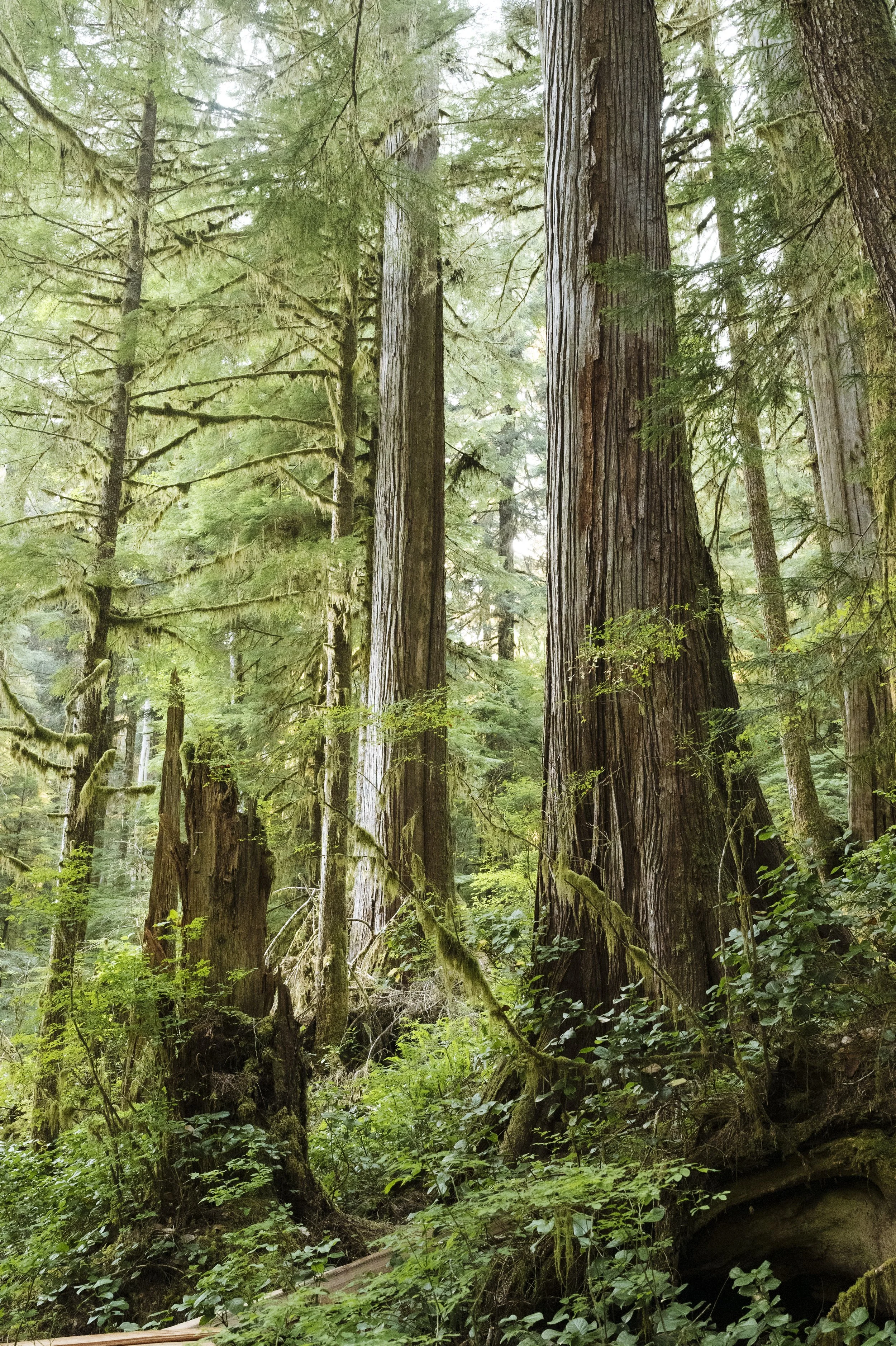 240908-WallbranTrailBuilding-AgatheBernard-152.jpg