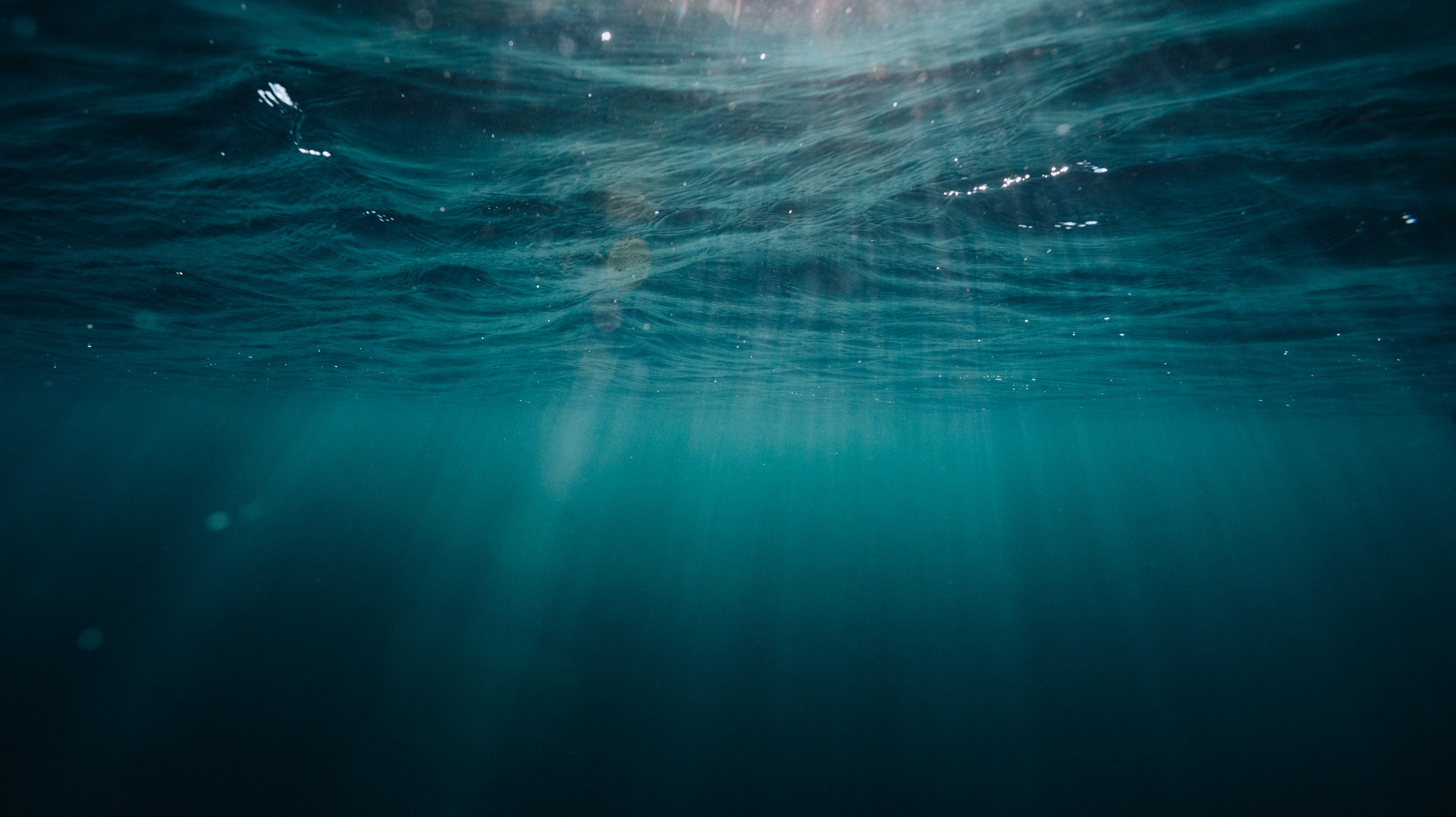 Bernard_Agathe_RIVERS-190804-WhaleIslandScarlet_ABP1042.jpg
