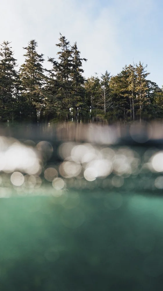 Agathe Bernard_World Ocean Day-3.jpg