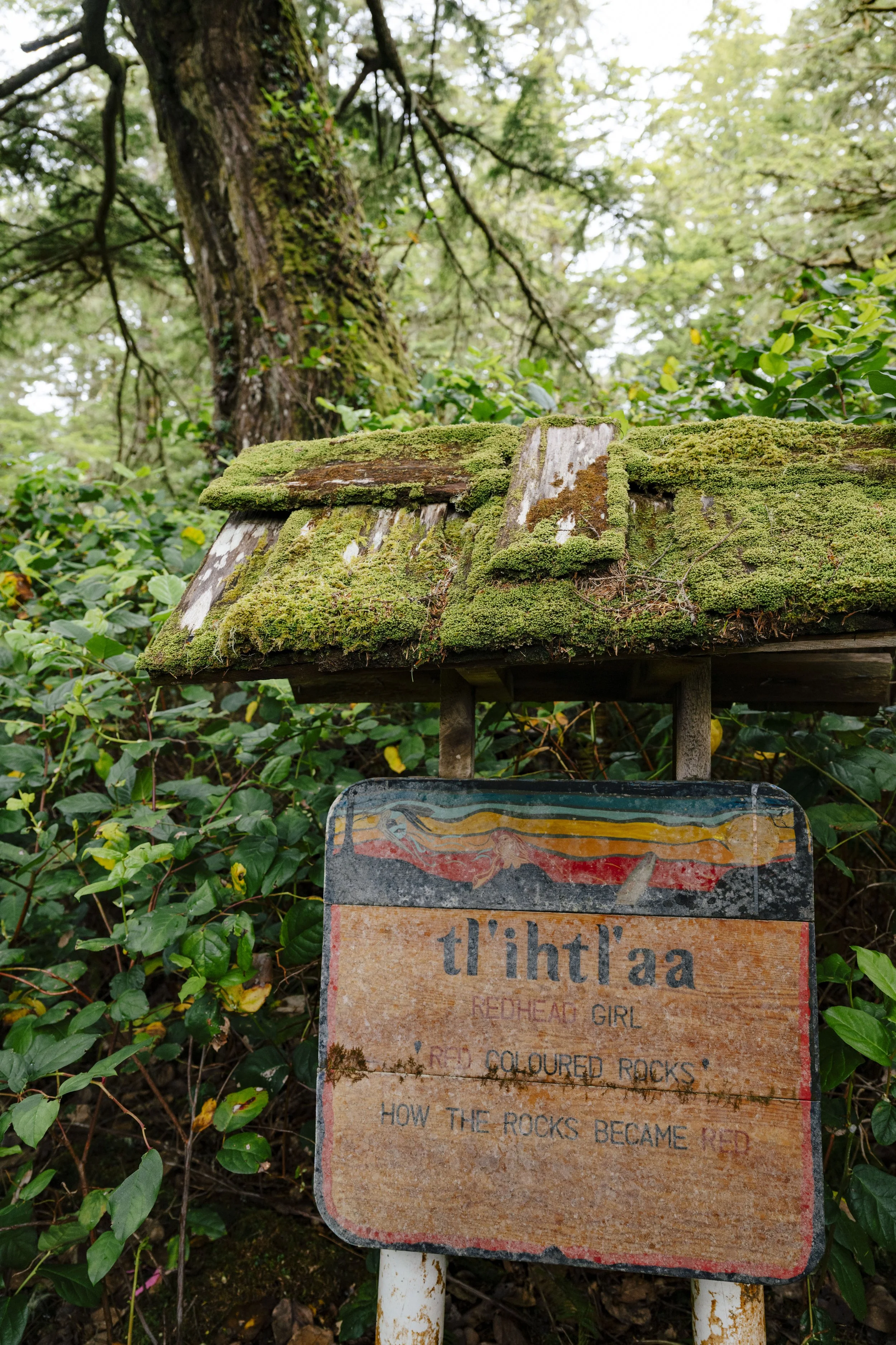 240614-17-AgatheBernard-FloresIsland-TrailBuilding-159.jpg
