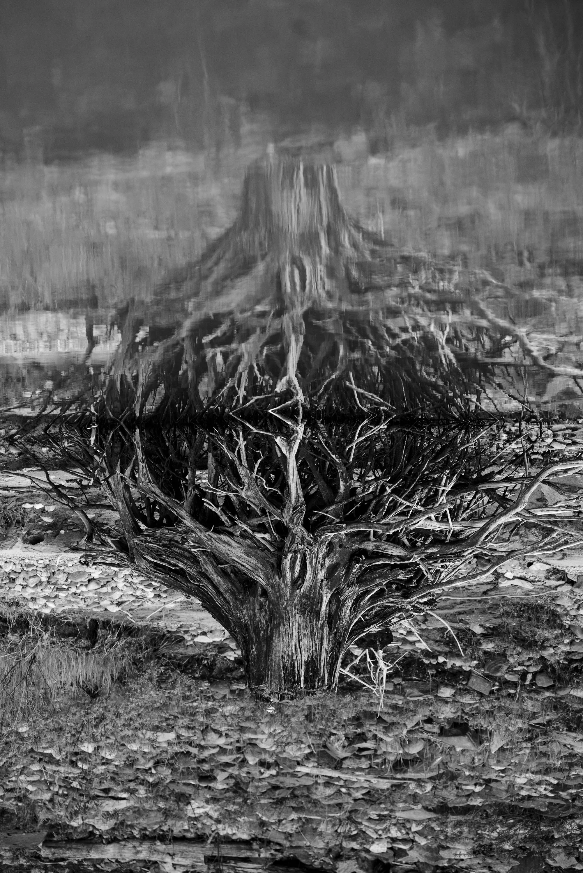 ReflectiononthePast.jpg