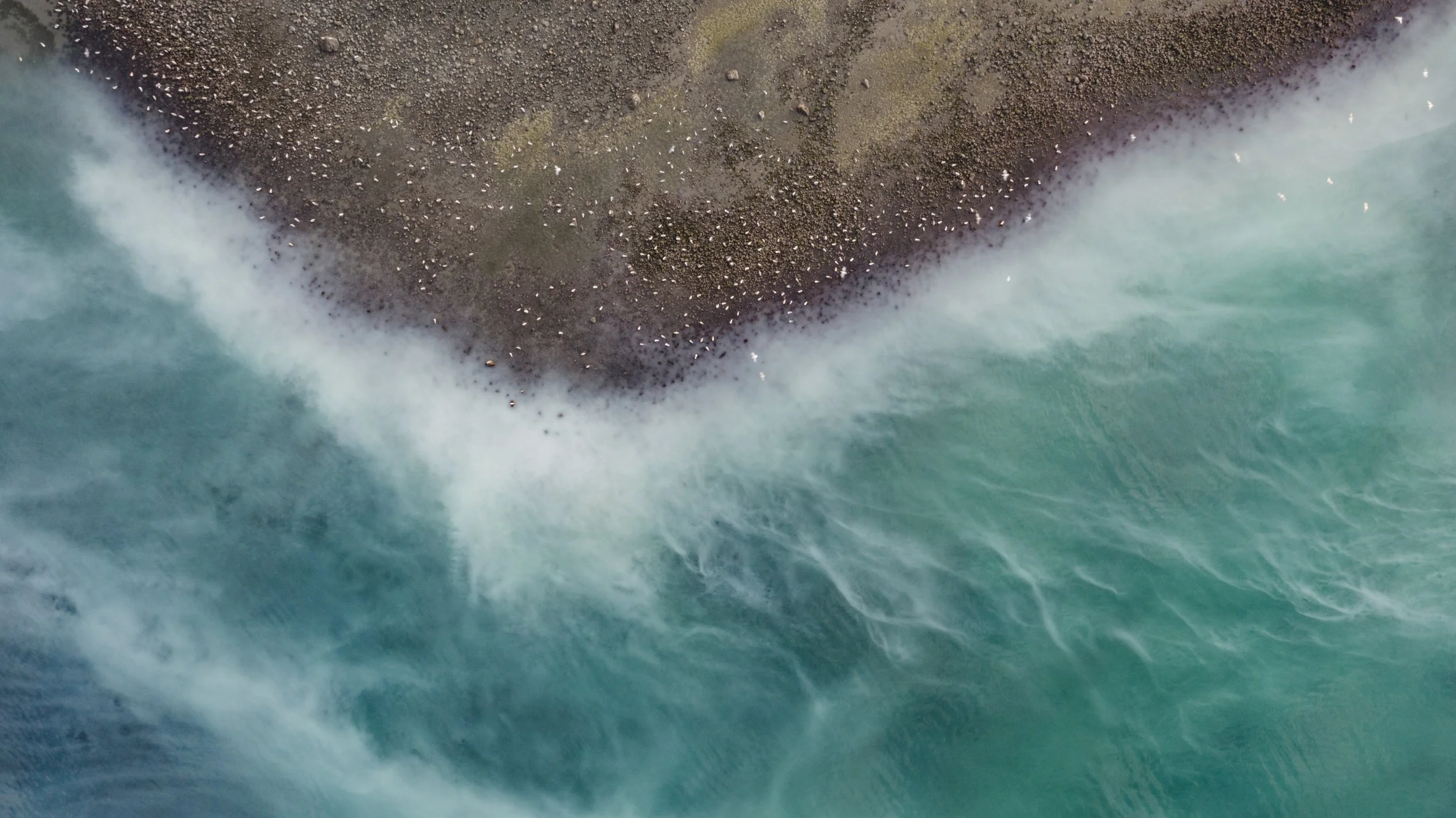 Conservation + Documentary
