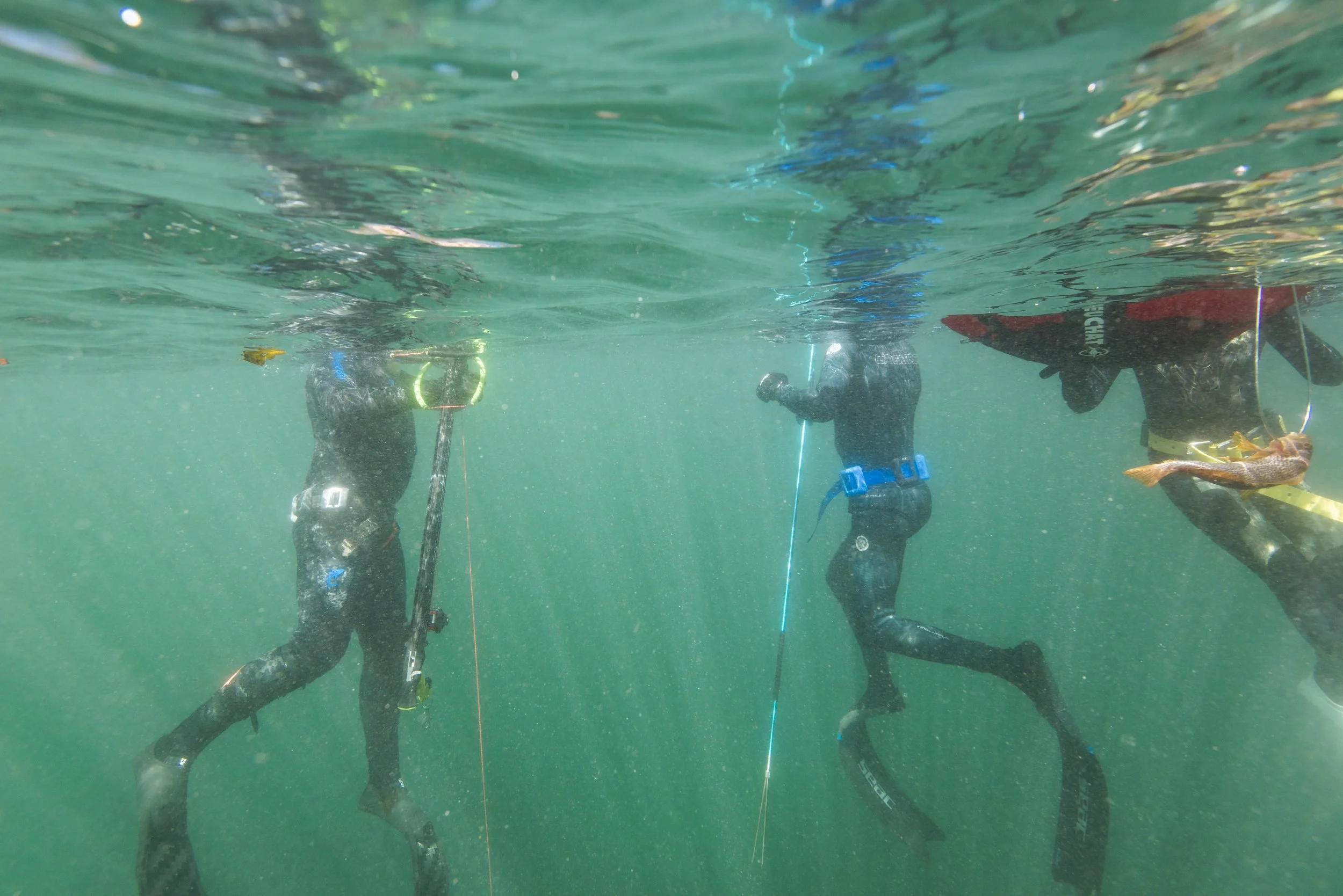 260516-17SookeFreedive-AgatheBernard-9290.jpg