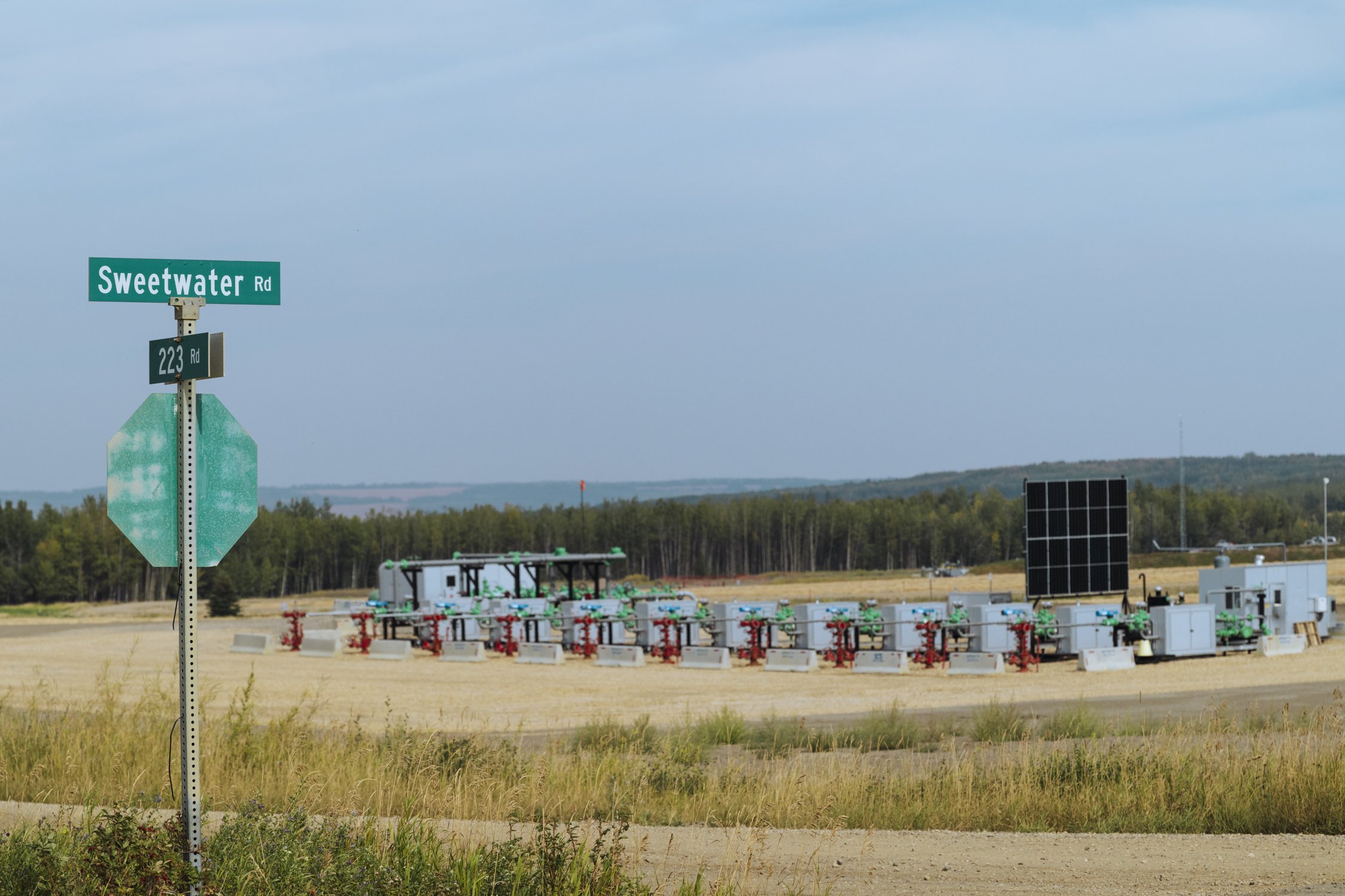 Bernard_Agathe_ENVIRO_250701_Climate_Old Growth Protection-3503.jpg