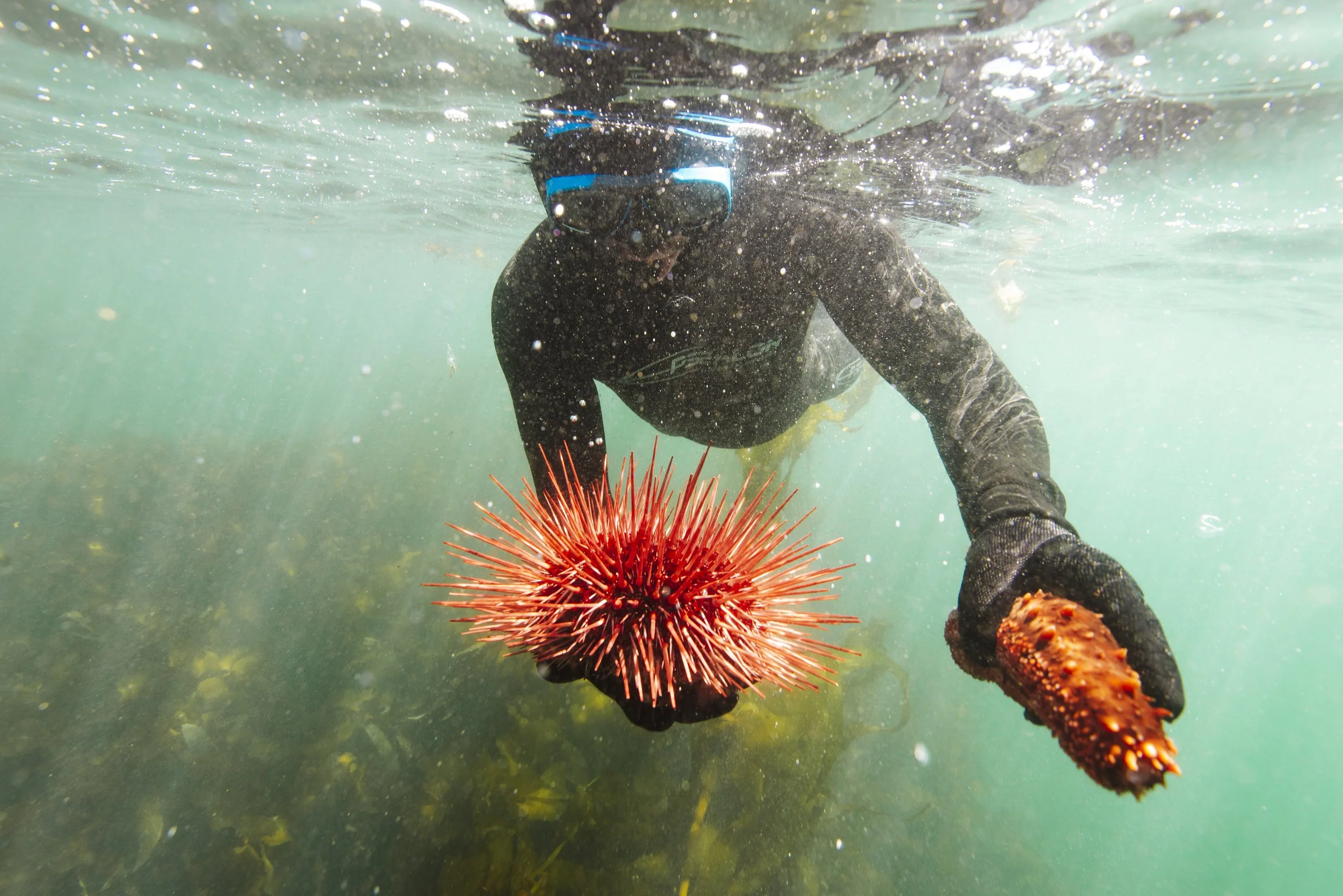 260516-17SookeFreedive-AgatheBernard-9217.jpg
