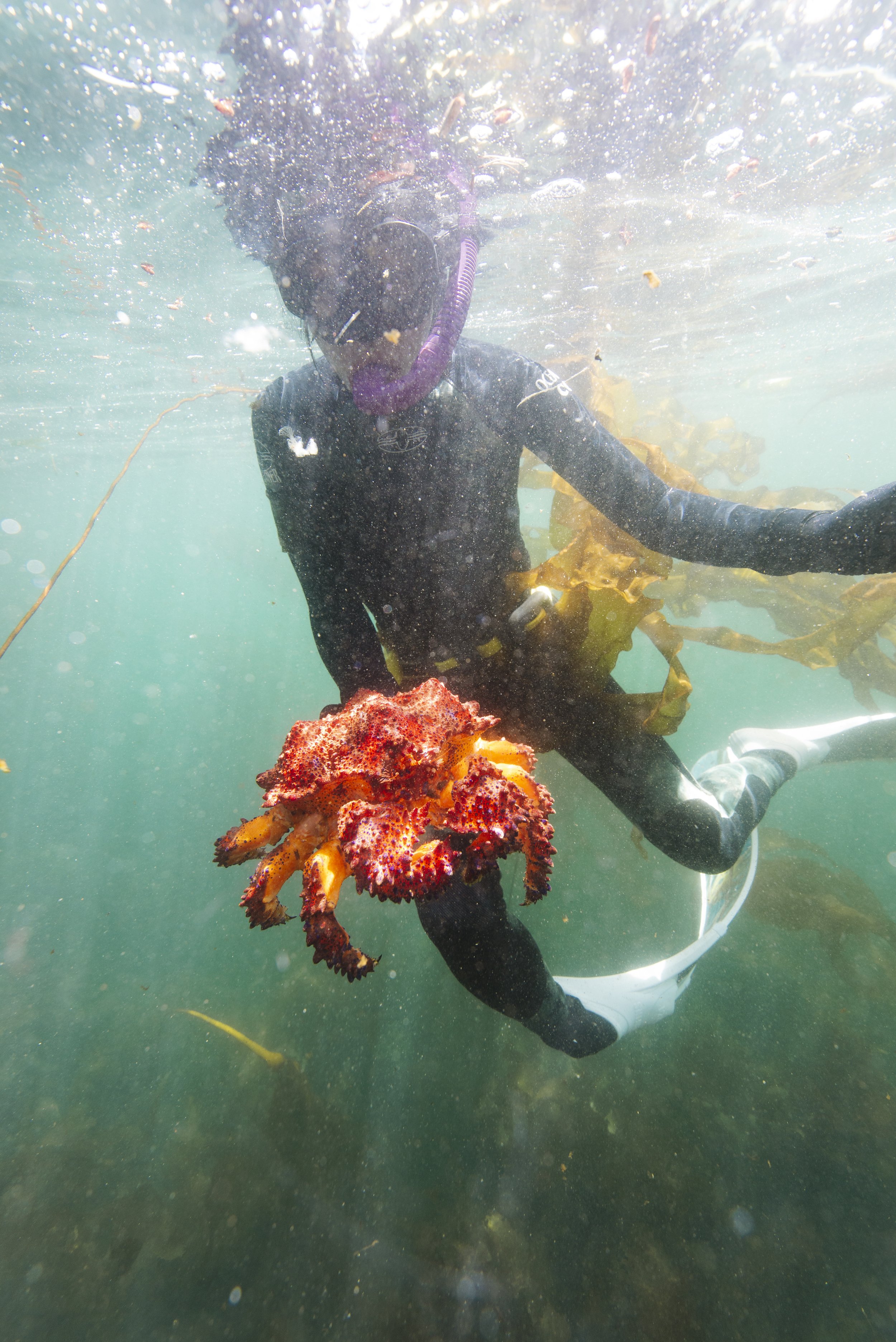 260516-17SookeFreedive-AgatheBernard-9337.jpg