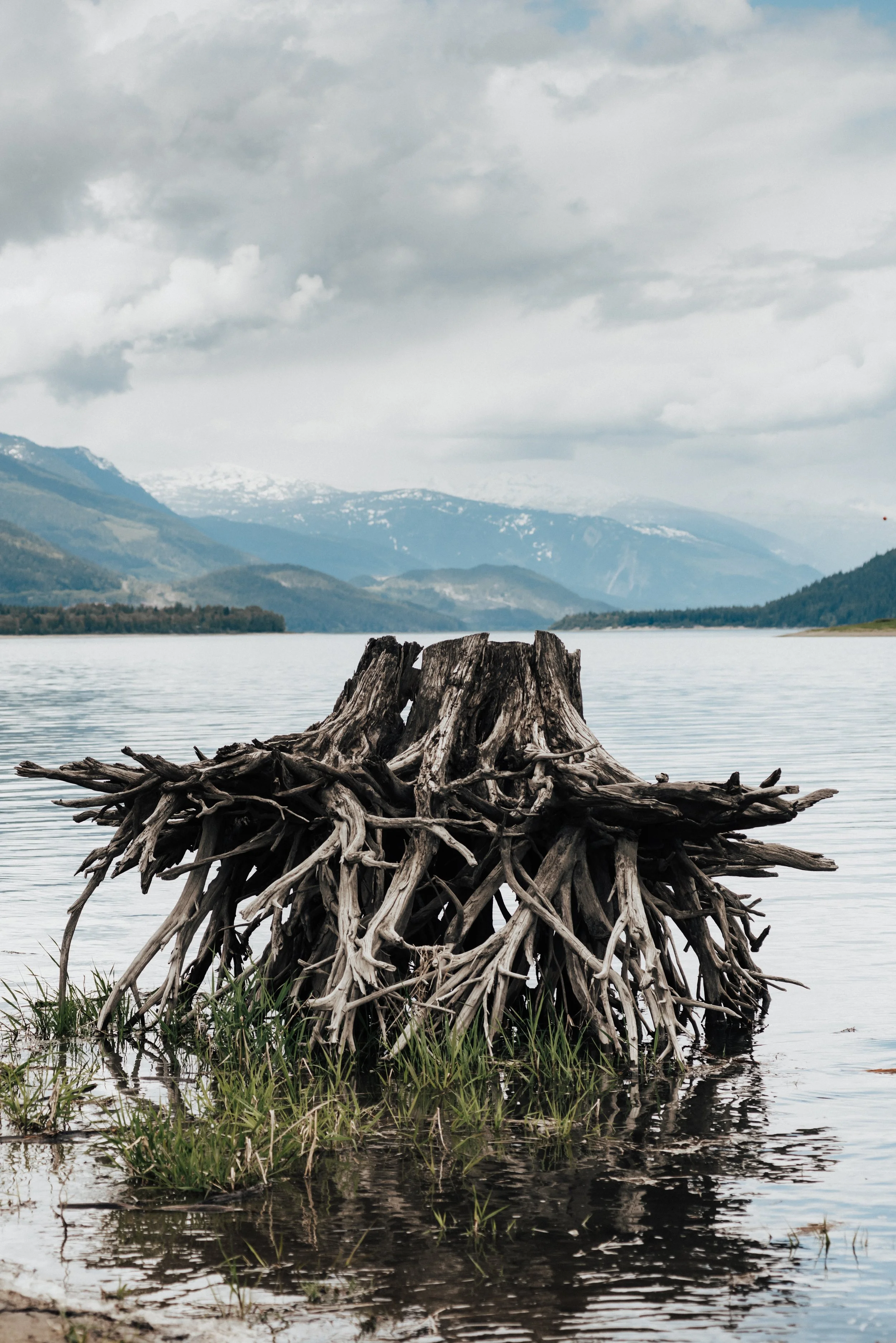 Bernard_Agathe_RIVERS-180520-CanoeRevytoShelterBay180520.jpg