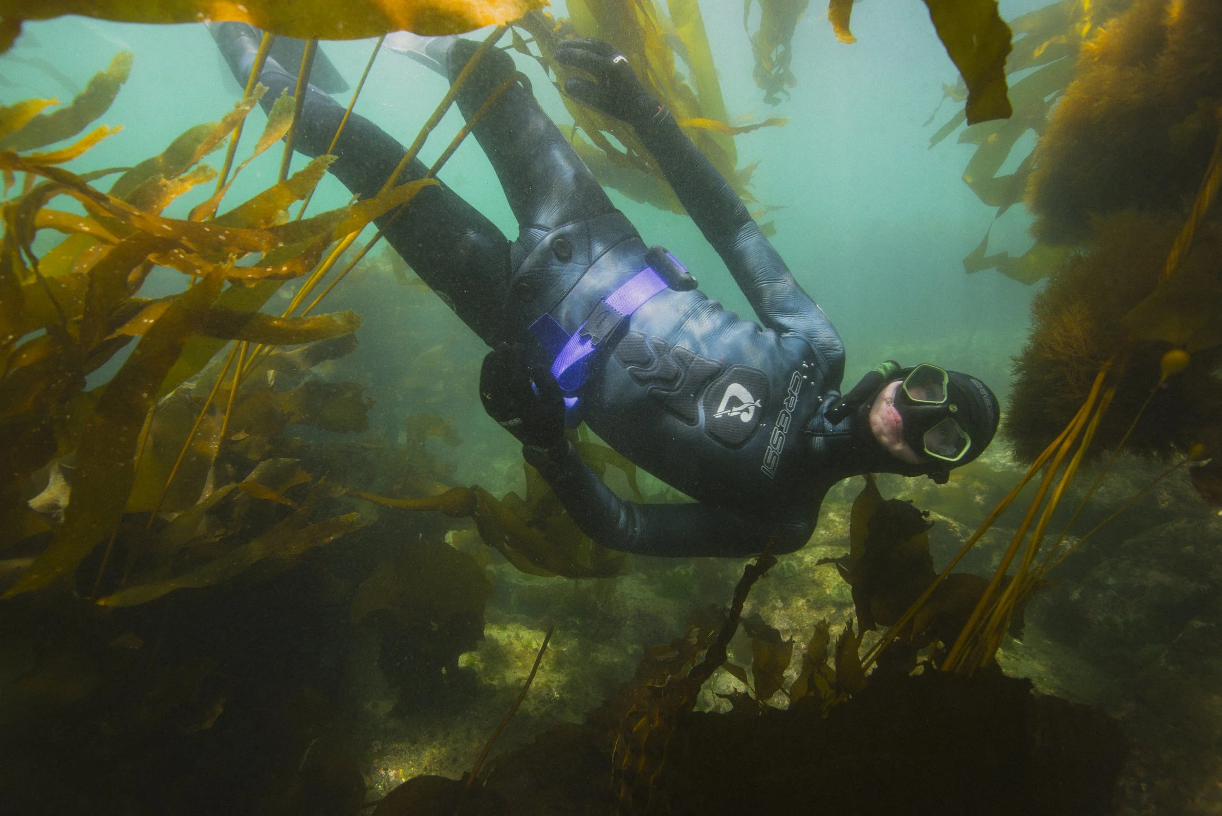 260516-17 Sooke Freedive-Agathe Bernard-9139.jpg