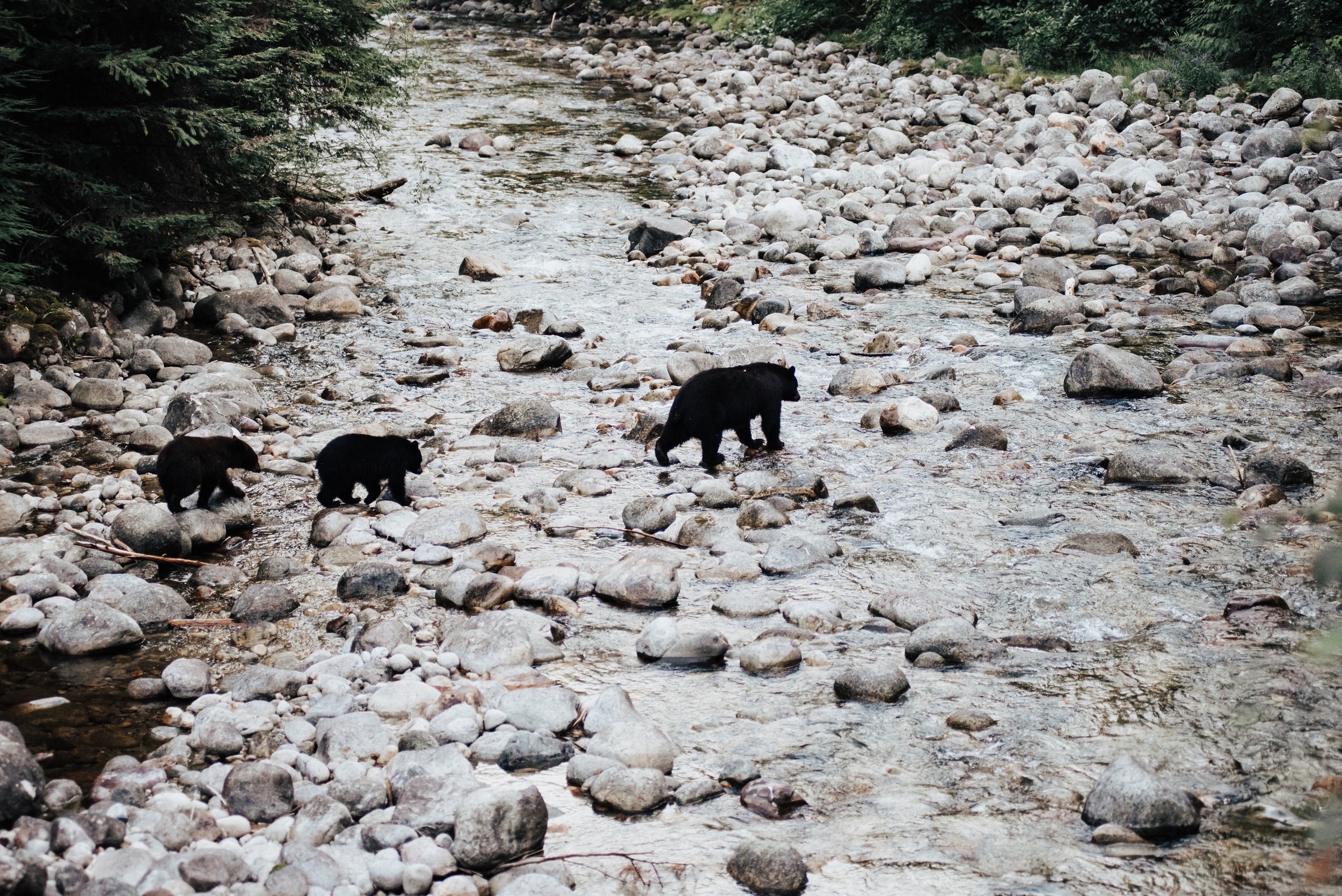 Bernard_Agathe_RIVERS-Kookanee_ABP9929.jpg