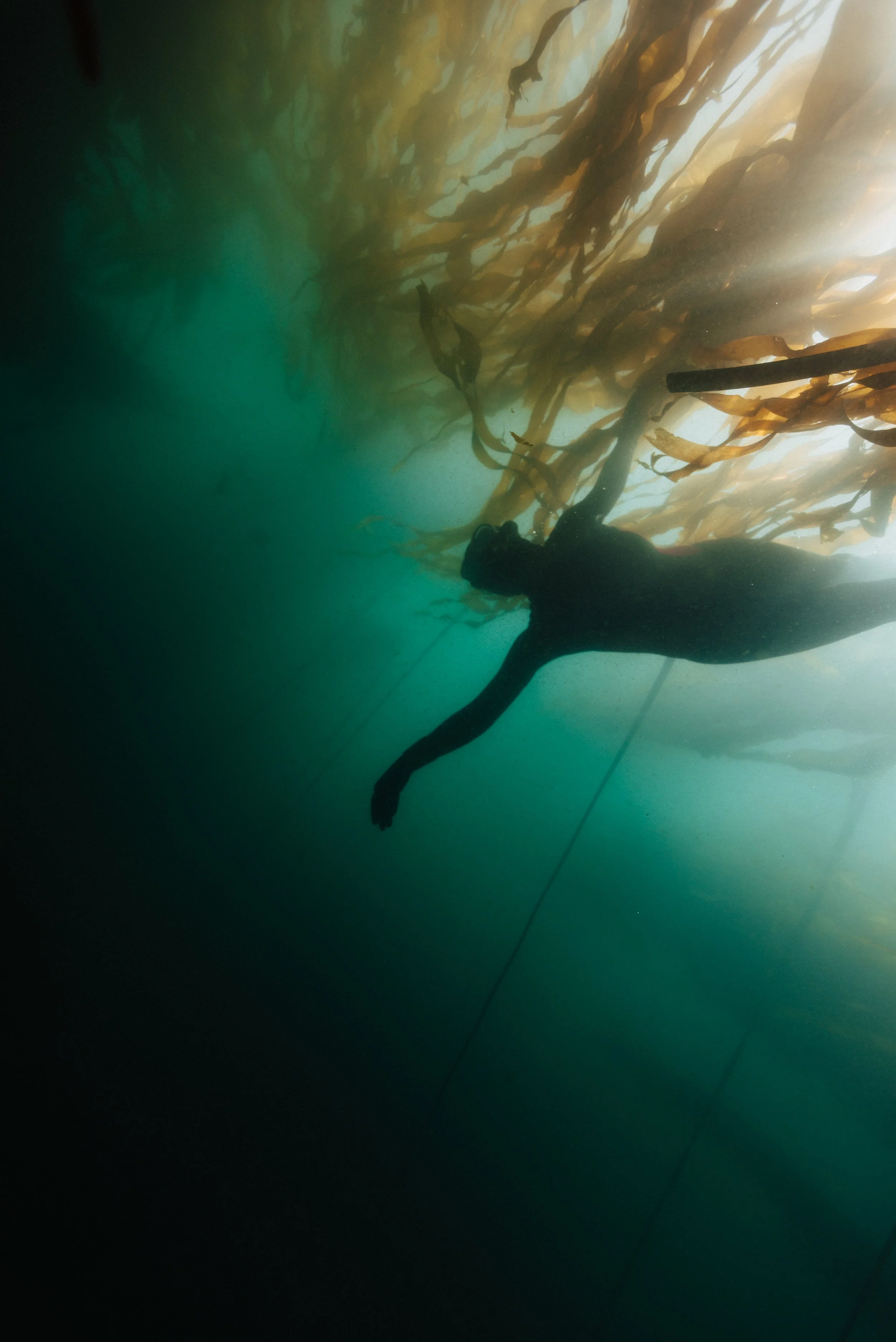SeaweedQueen (1).jpg