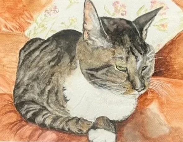 A watercolor painting of a gray and white tabby cat lying on a blanket.