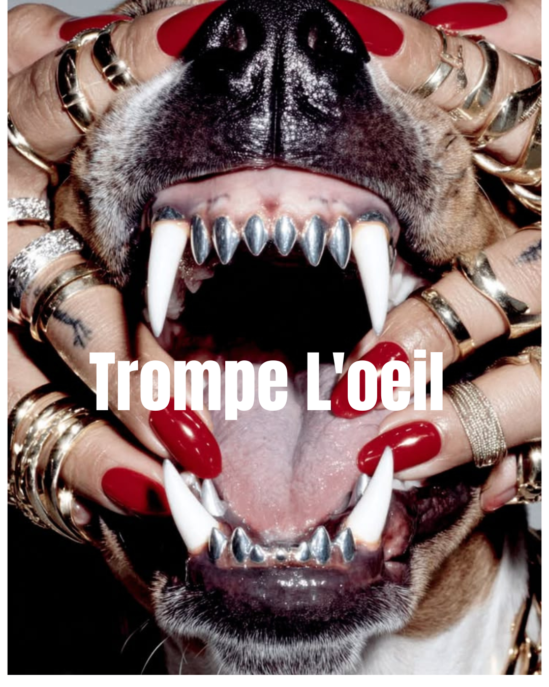 Trompe l'oeil.png