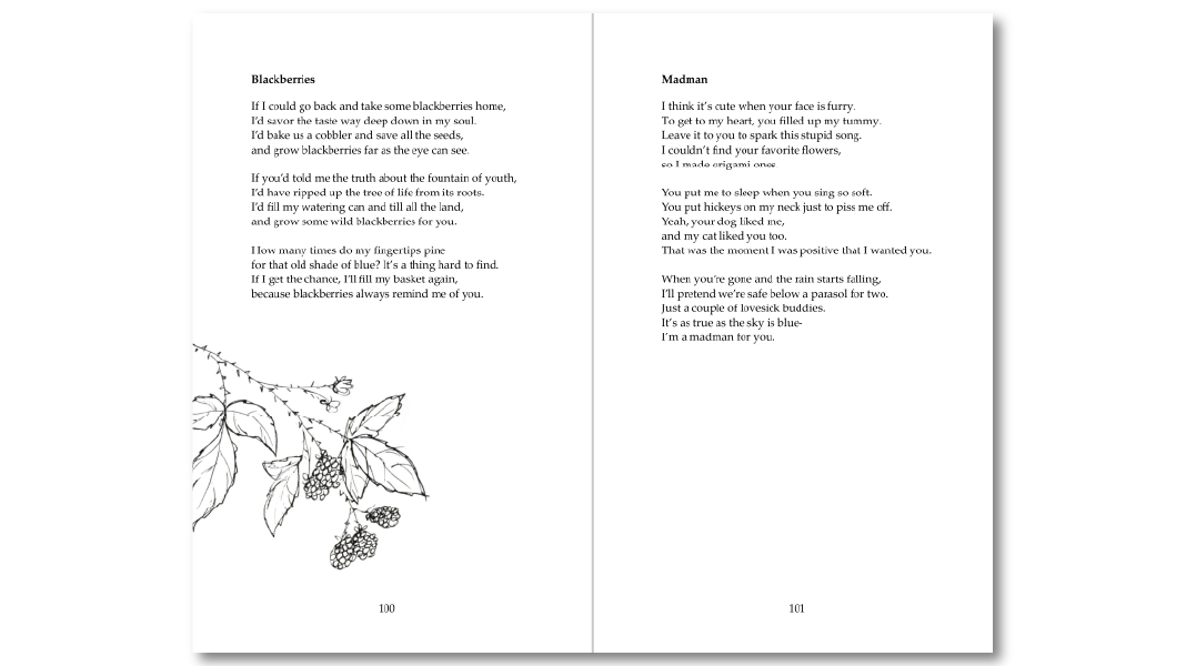 The Hum of a Dreaming Moon interior pages