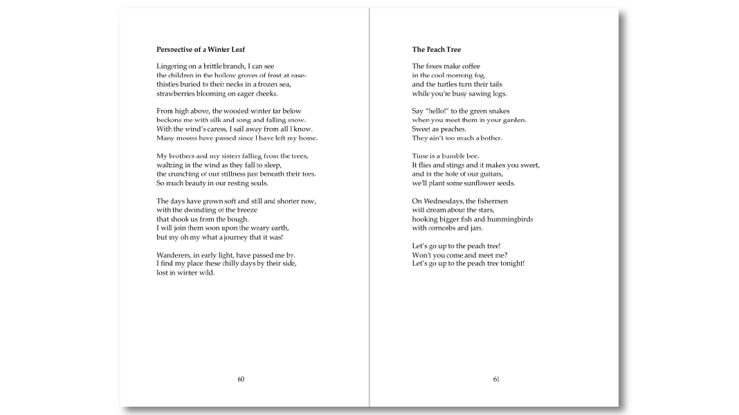 The Hum of a Dreaming Moon interior pages