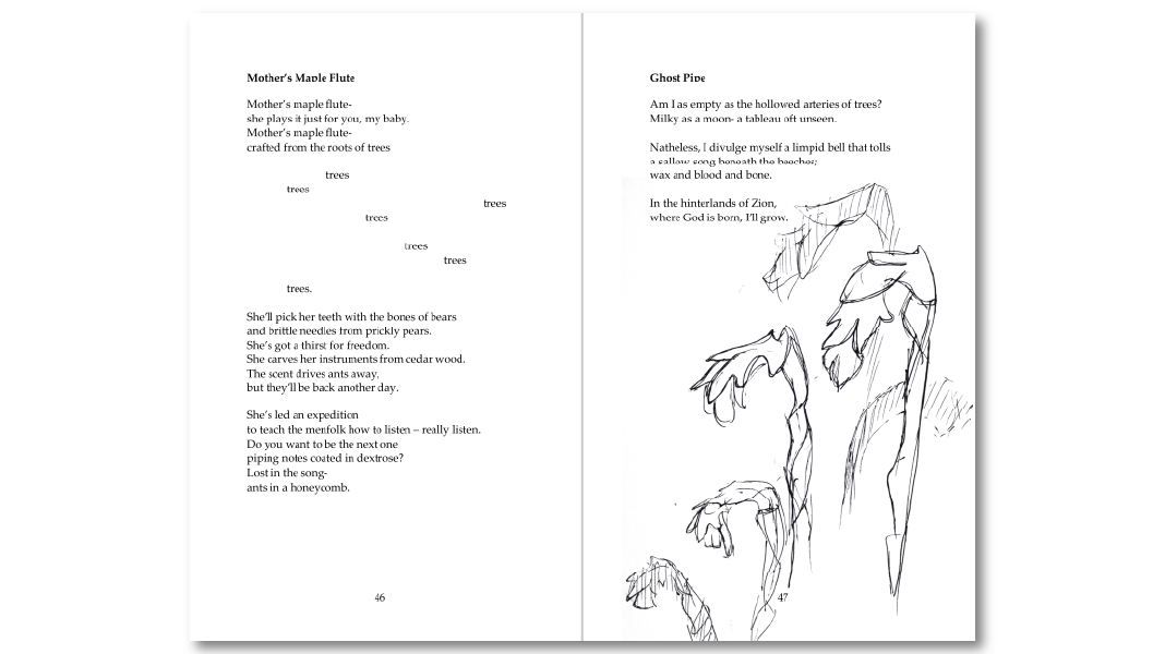 The Hum of a Dreaming Moon interior pages