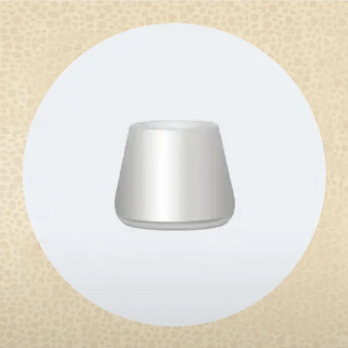 2. Implant abutment (cover).