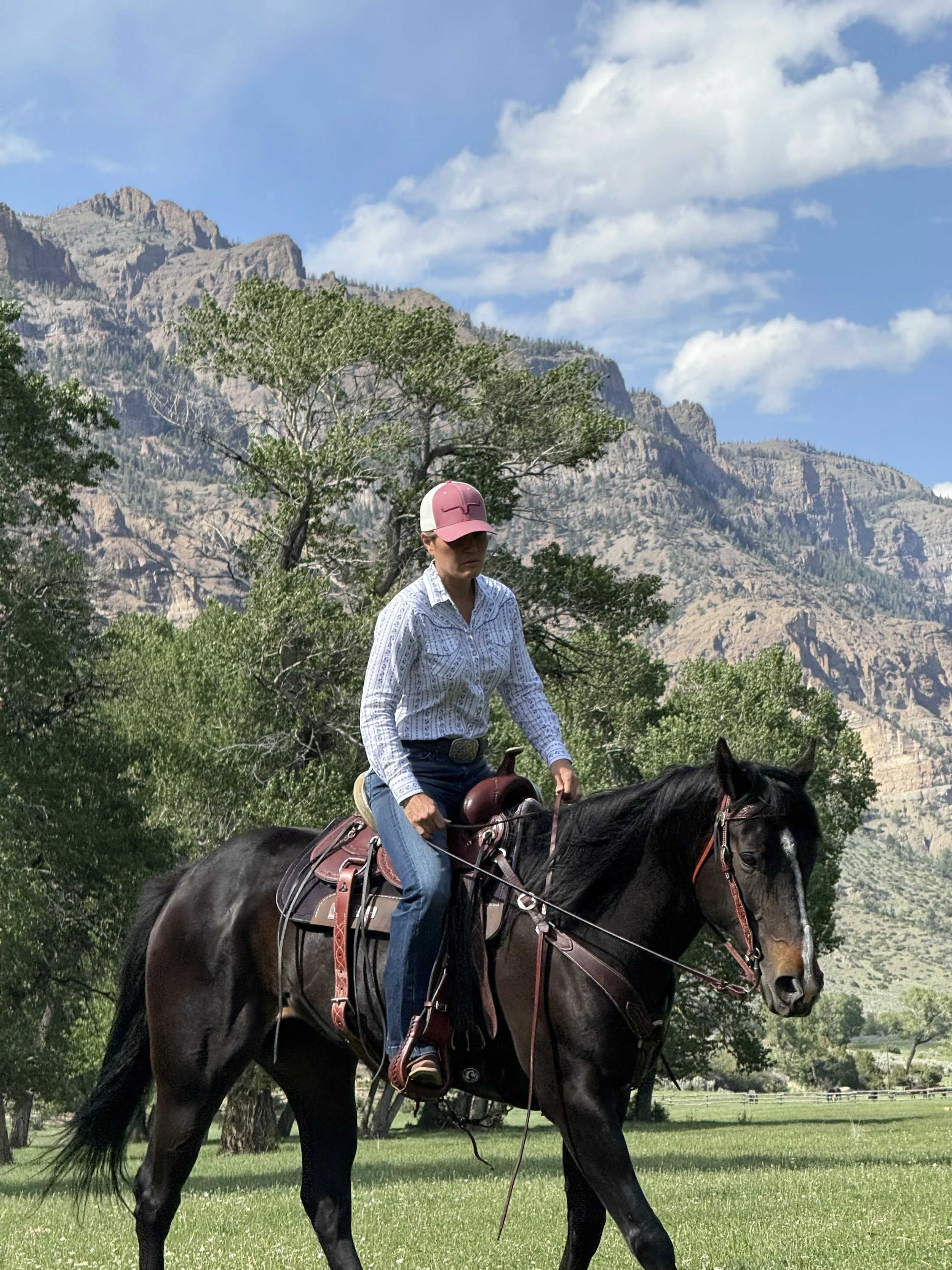 A woman riding a dark brown horse in a green field with trees and mountains in the background, under a partly cloudy sky.