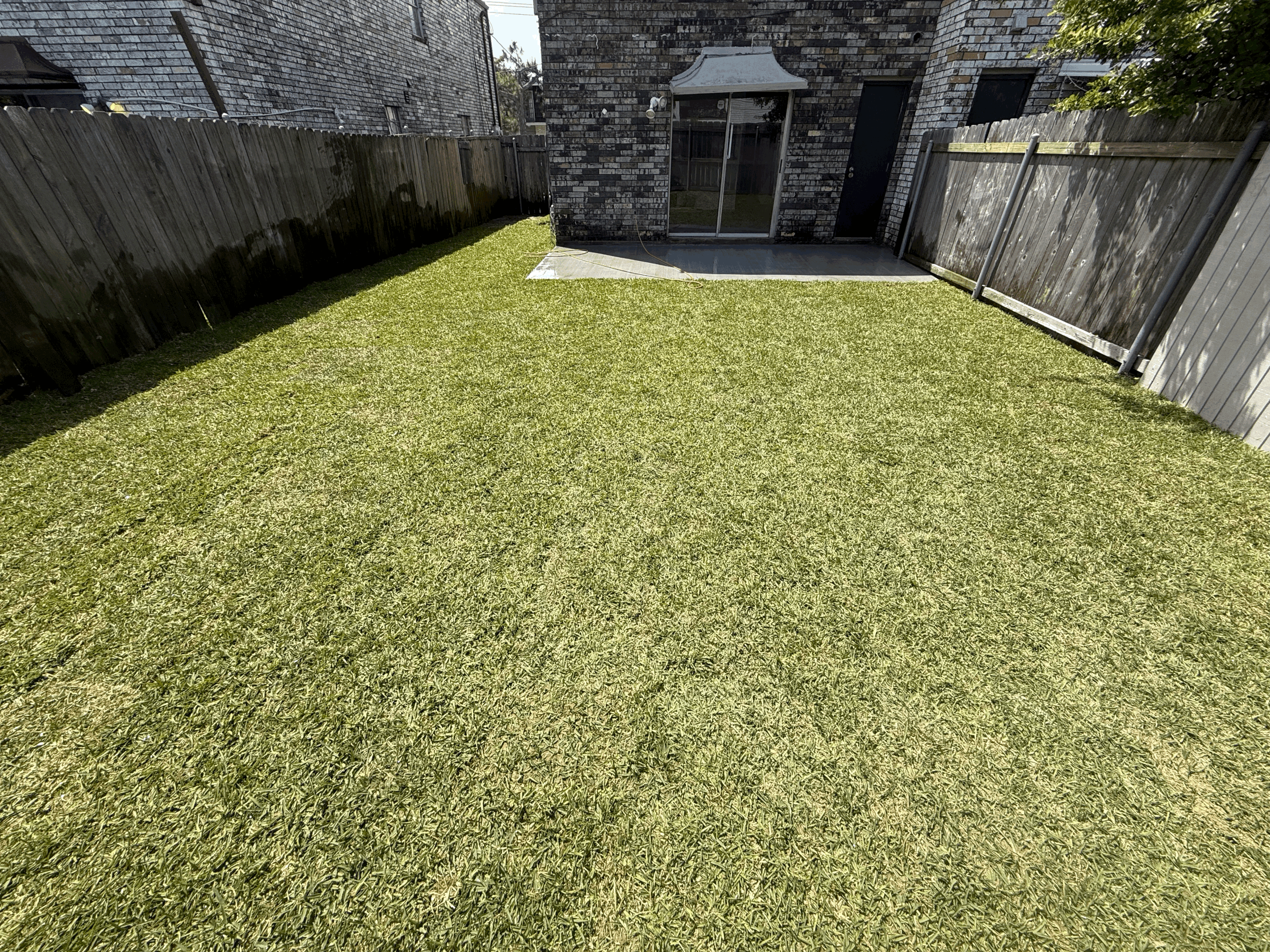 tempImageWiVlTV.gif