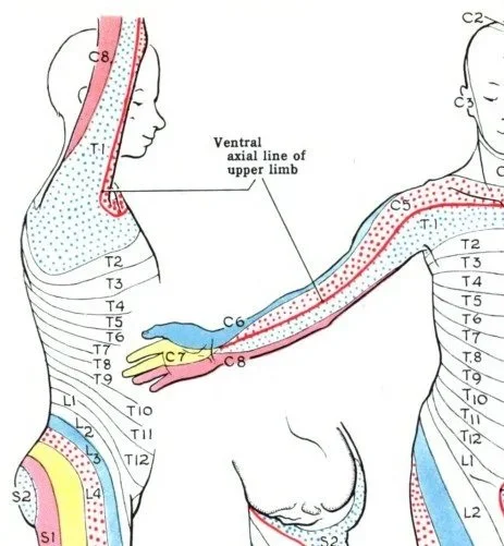 Understanding Myotherapy