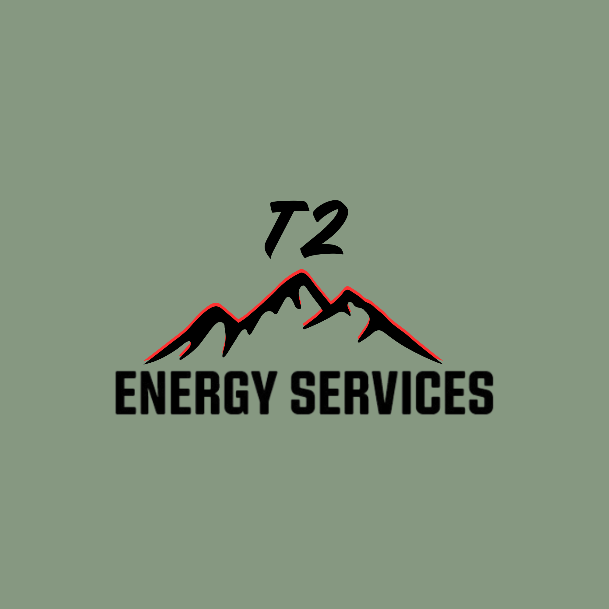 T2.png