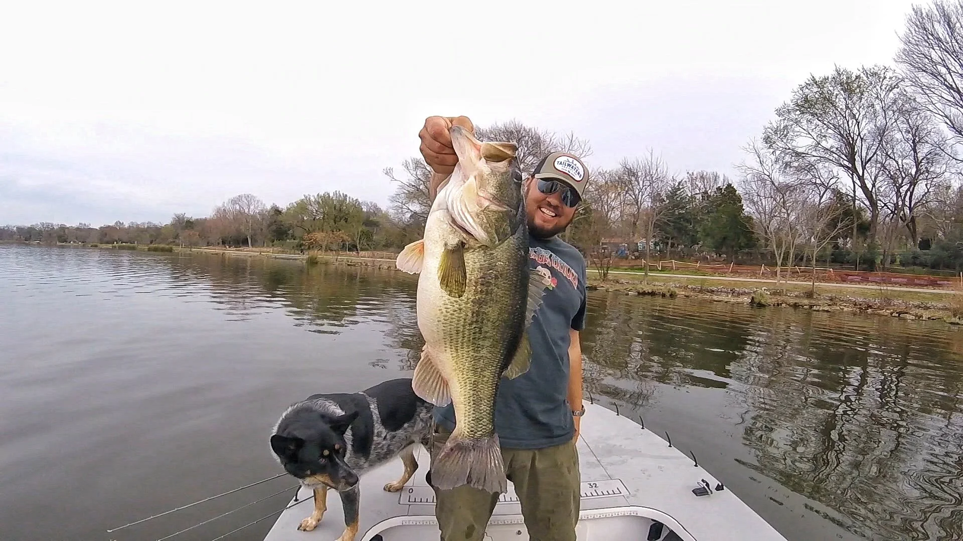 A man holding a large fish, smiling, standing on a boat with a black and white dog beside him, with a body of water and trees in the background.