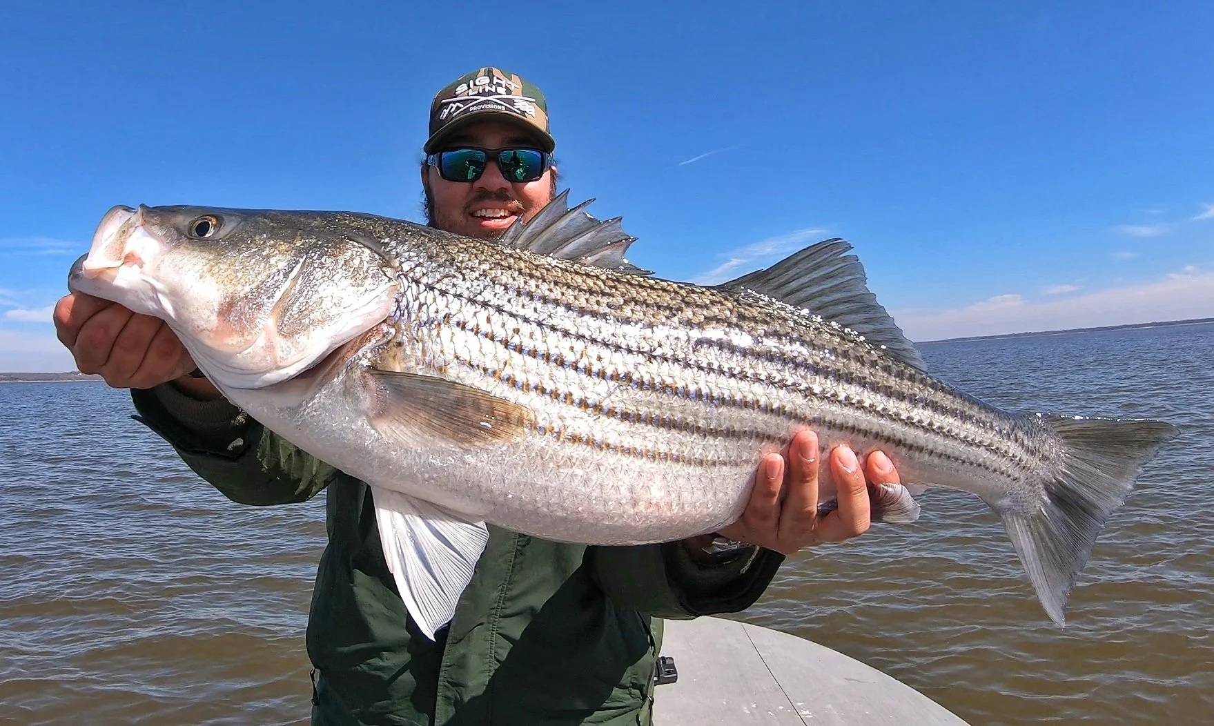 Man wearing sunglasses and a cap holding a large striped bass fish near a body of water on a sunny day.