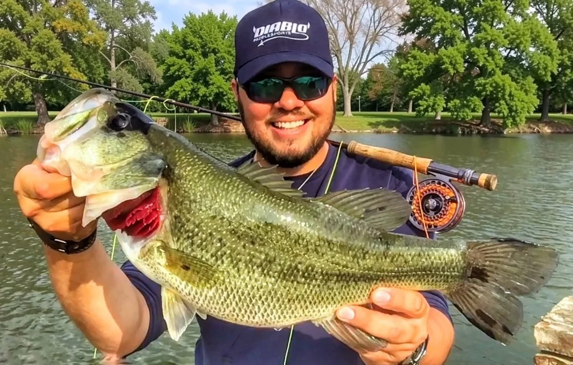 A man holding a large bass fish he caught while fly fishing from the bank in a lake, with trees and a park visible in the background.