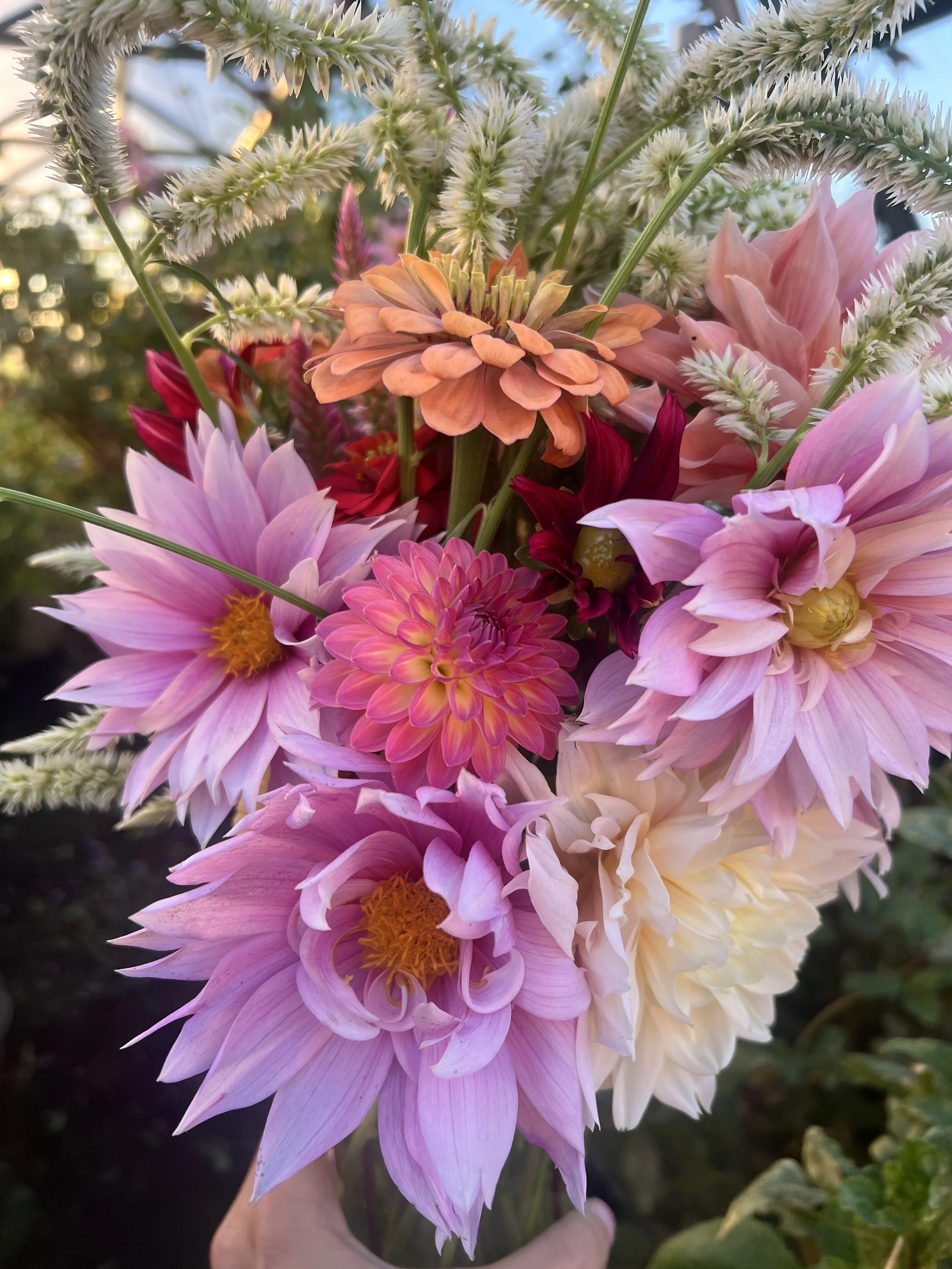 Close-up of a hand holding a colorful bouquet of various pink, peach, and white flowers with green stems and leaves, set against a background of blurred greenery and blue sky.