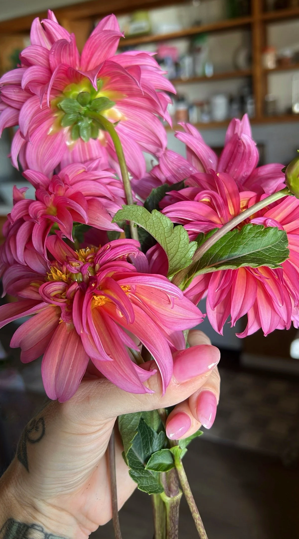 A person's hand holding a bouquet of pink flowers with green leaves, inside a room with shelves in the background.