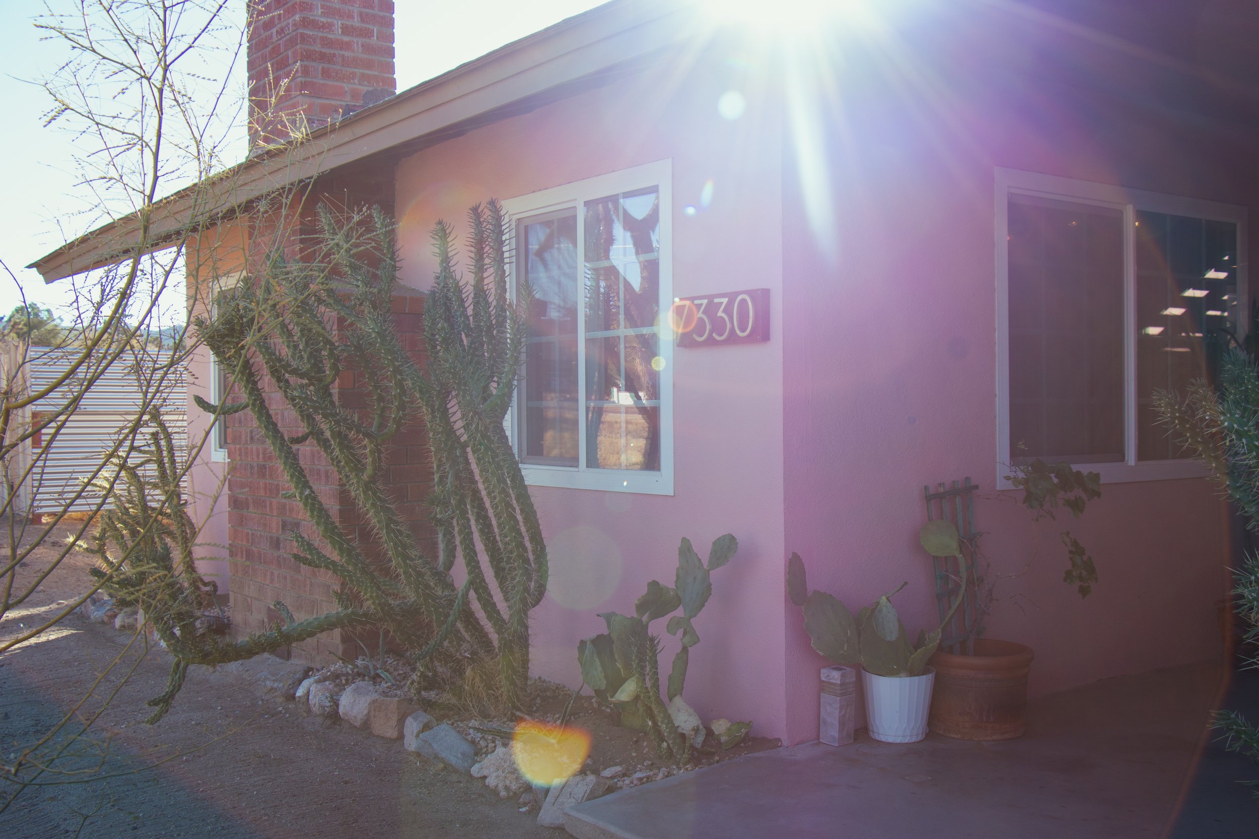 A house with a pink exterior wall and a brick chimney, featuring several types of cacti in pots and landscaped ground, with the house number 330 displayed on the wall. Bright sunlight creates lens flare in the image.