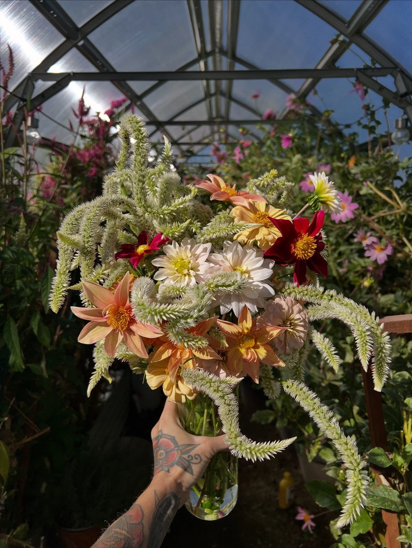 A person with a tattooed arm holding a glass vase filled with a bouquet of colorful flowers inside a greenhouse.