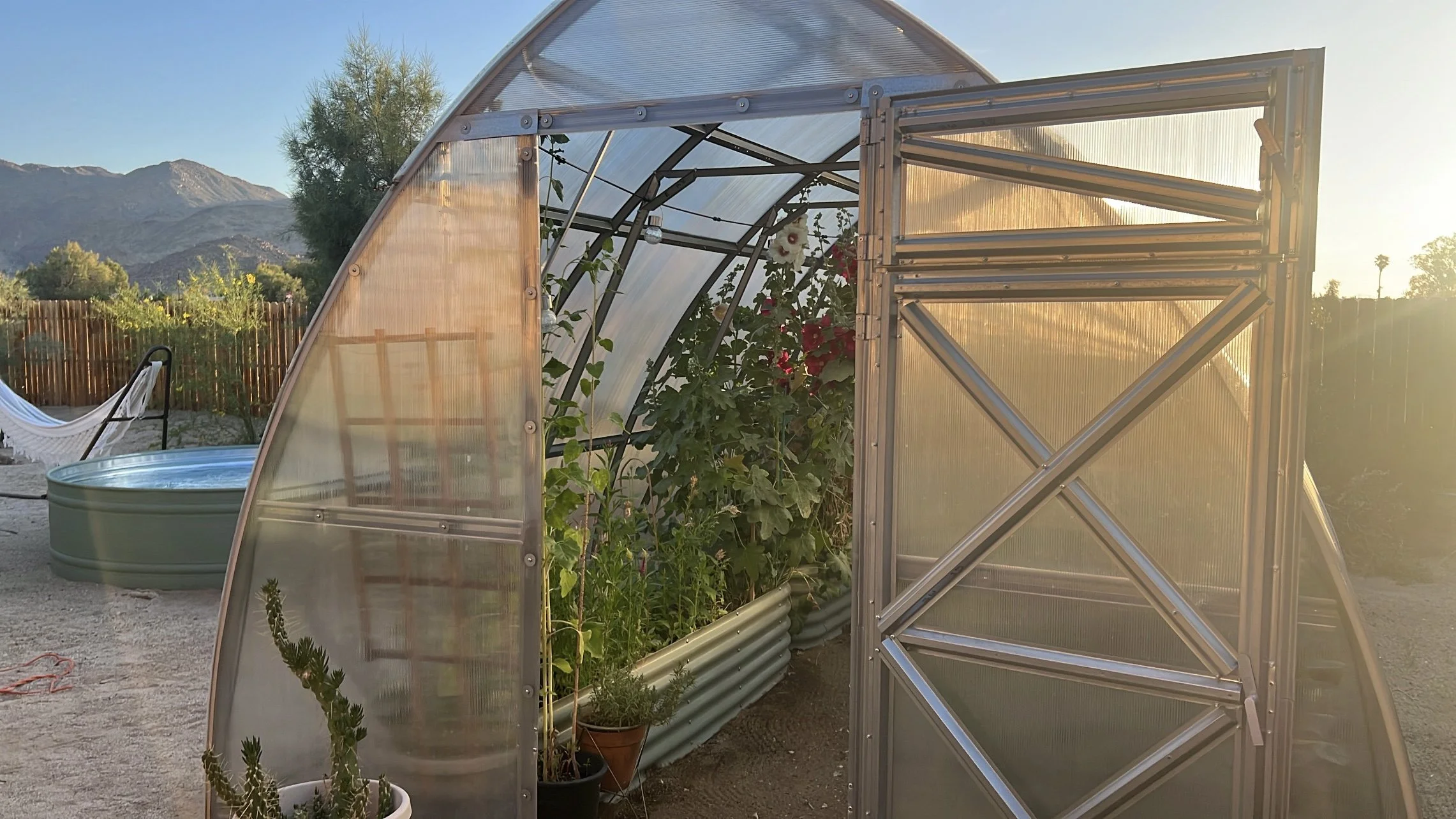 A small greenhouse with metal frame and clear plastic panels, containing plants inside, set outdoors in a sunny landscape with mountains in the background.