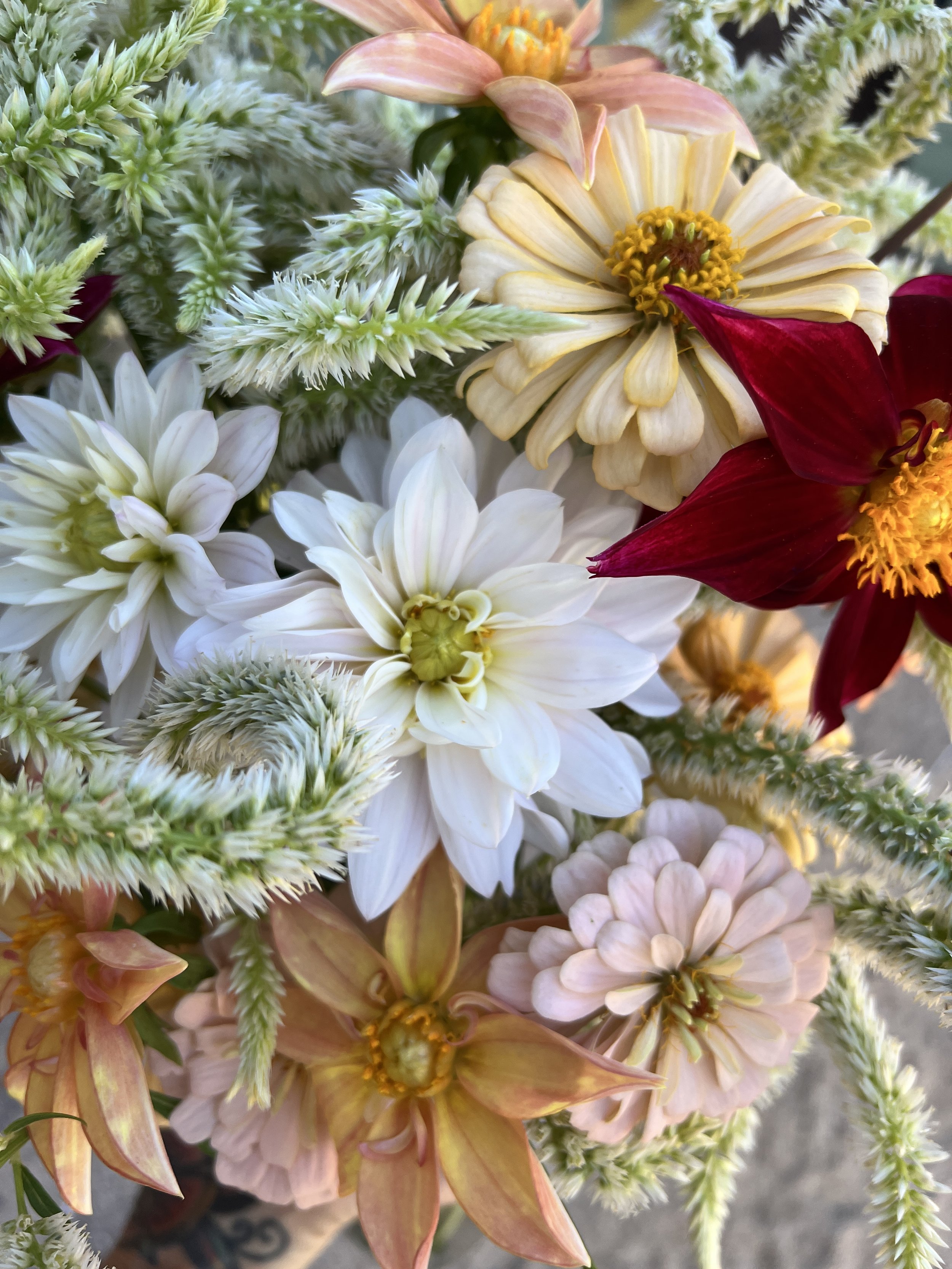 Close-up of a bouquet of colorful flowers including white dahlias, pink and yellow zinnias, and red blooms, along with green foliage.