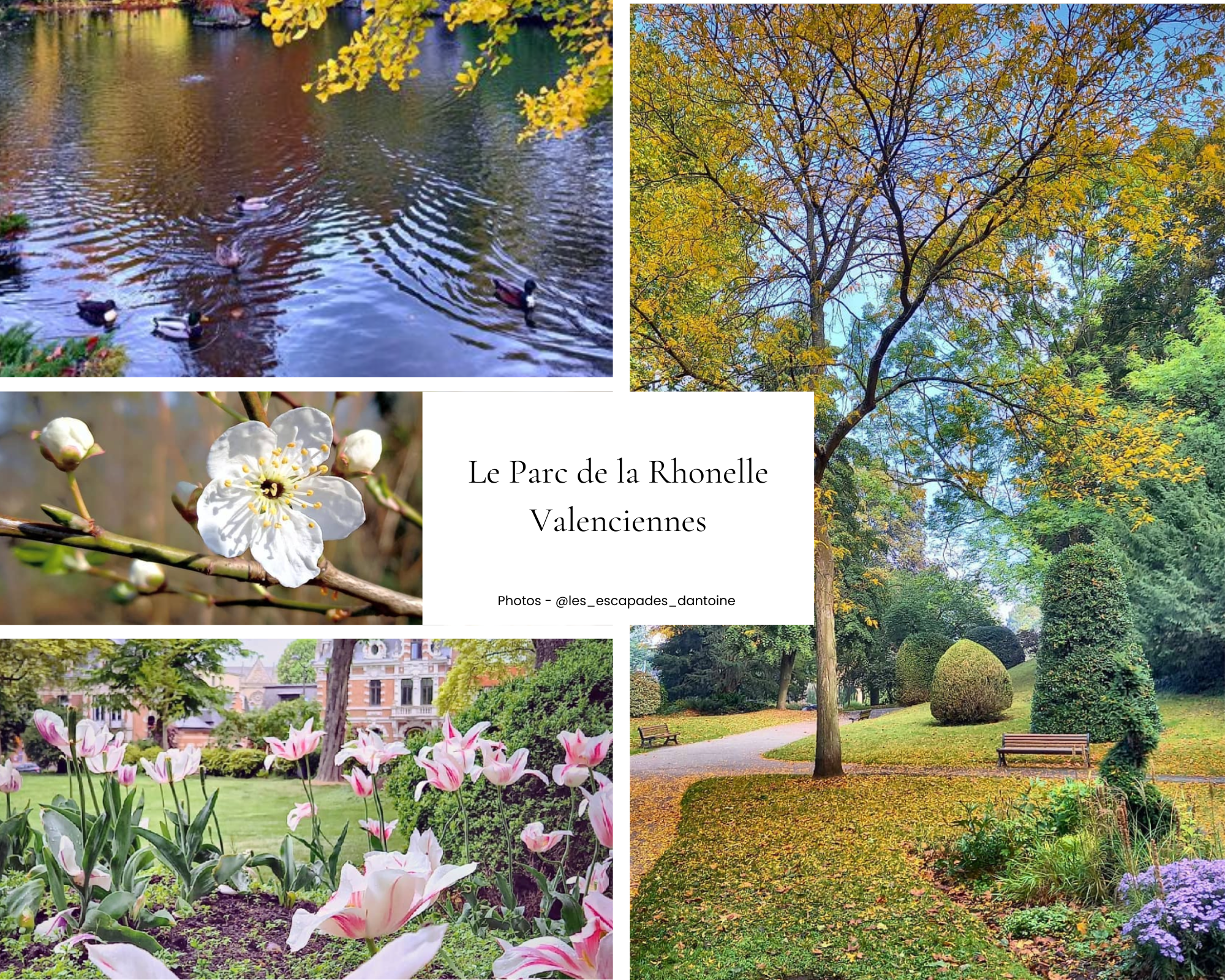 Parc de la Rhonelle